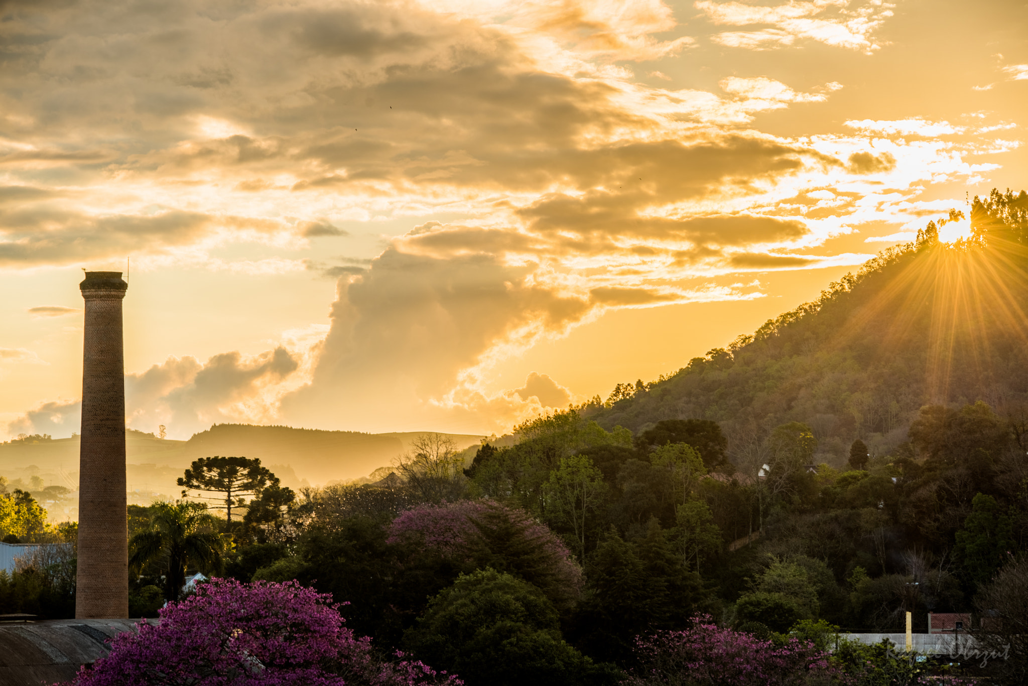 Sigma 150-500mm F5-6.3 DG OS HSM sample photo. Sunset photography