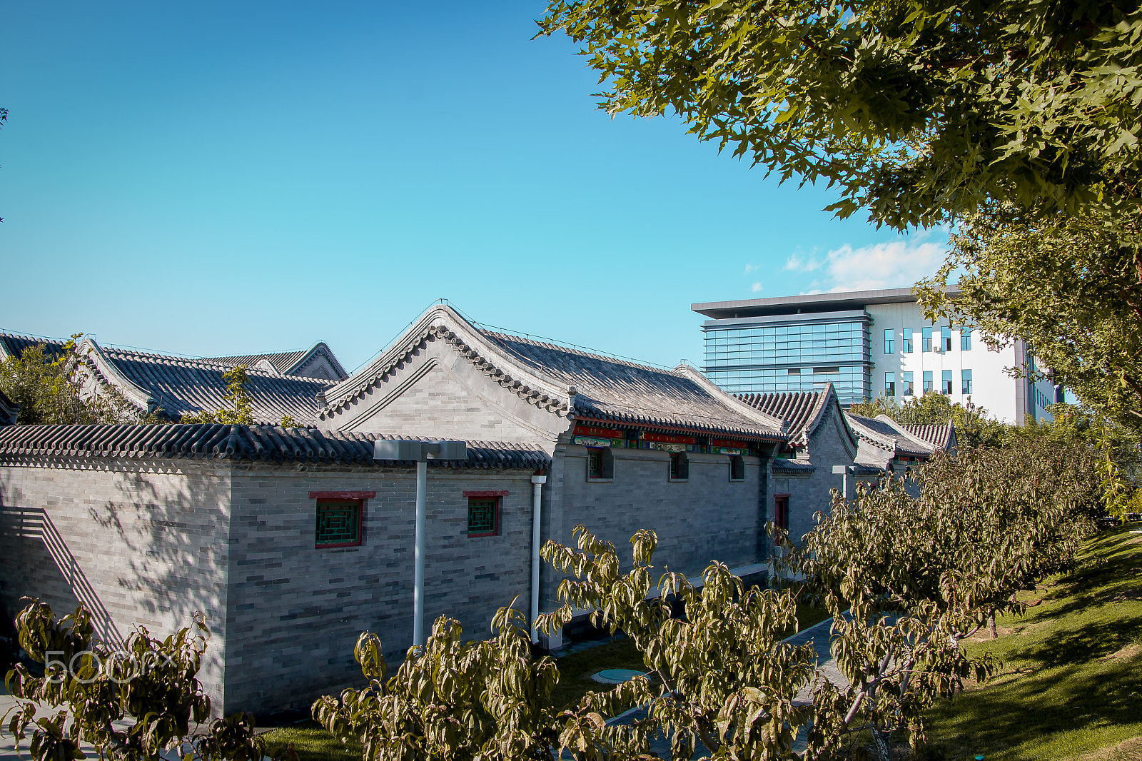 Canon EOS 70D + Canon TS-E 90mm F2.8 Tilt-Shift sample photo. The beauty of my campus. photography