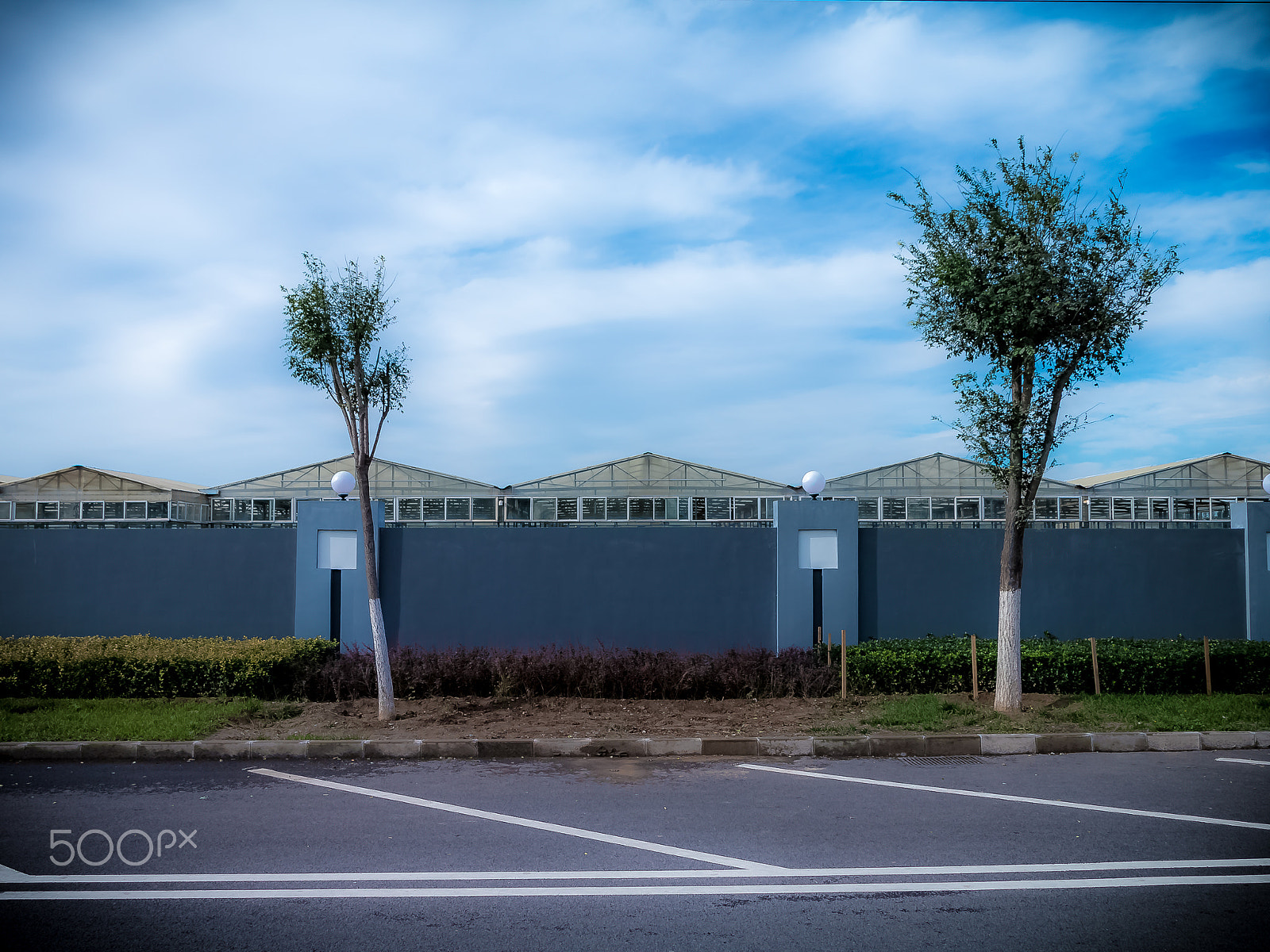 Canon EOS 70D + Canon TS-E 90mm F2.8 Tilt-Shift sample photo. The beauty of my campus. photography