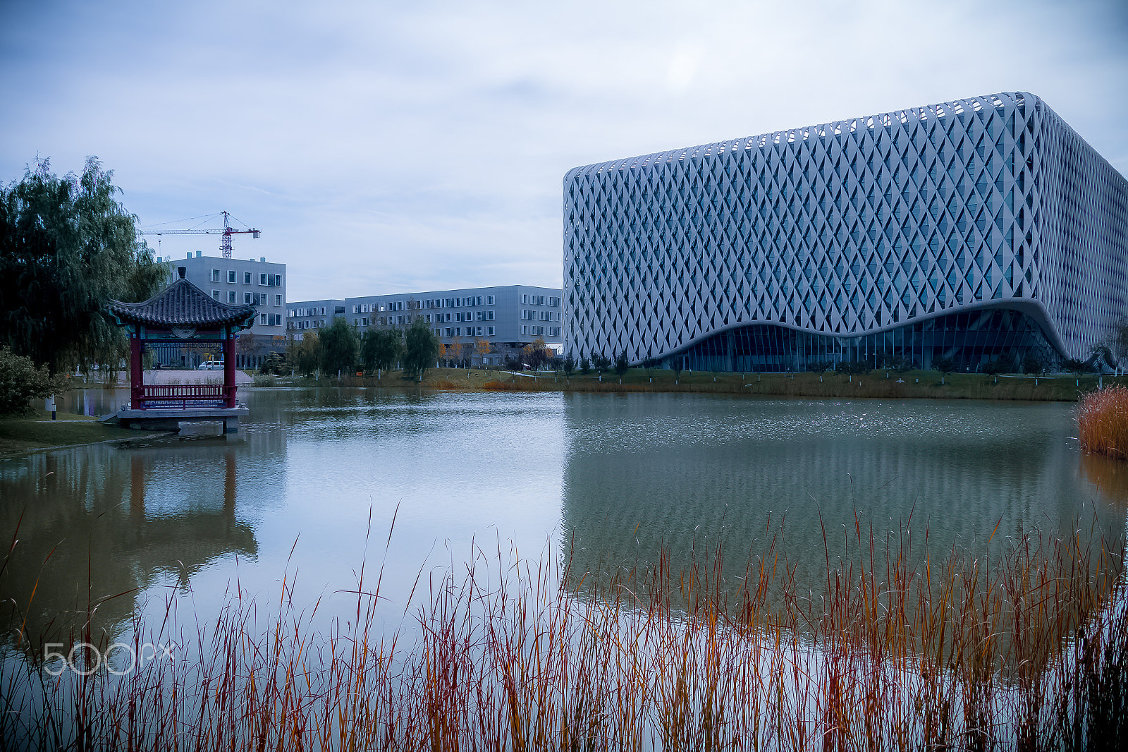 Canon EOS 70D + Canon TS-E 90mm F2.8 Tilt-Shift sample photo. The beauty of my campus. photography