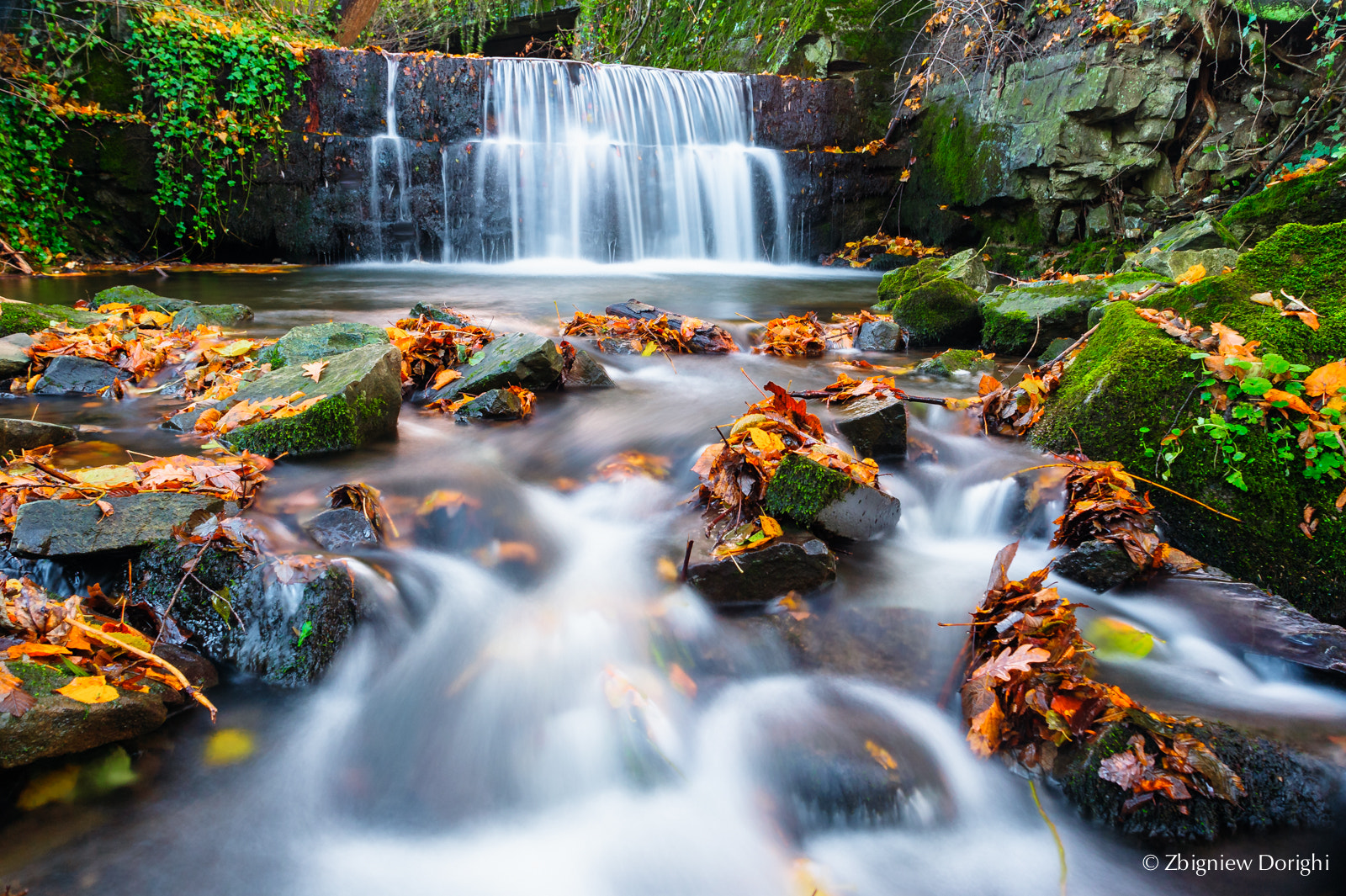 Nikon D700 + Sigma 24mm F1.8 EX DG Aspherical Macro sample photo. Waterfall in autumn scenery photography