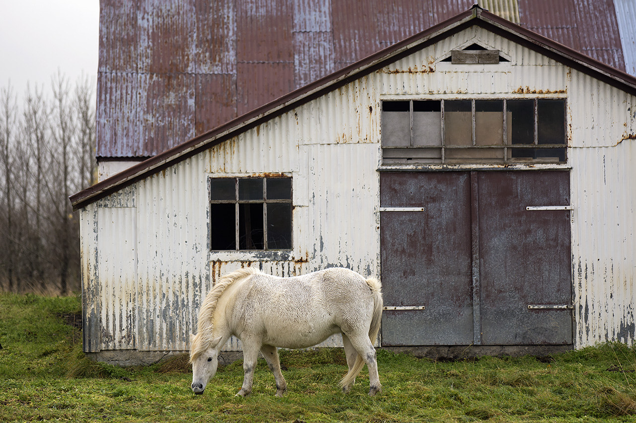 AF-S Zoom-Nikkor 80-200mm f/2.8D IF-ED sample photo. Iceland photography