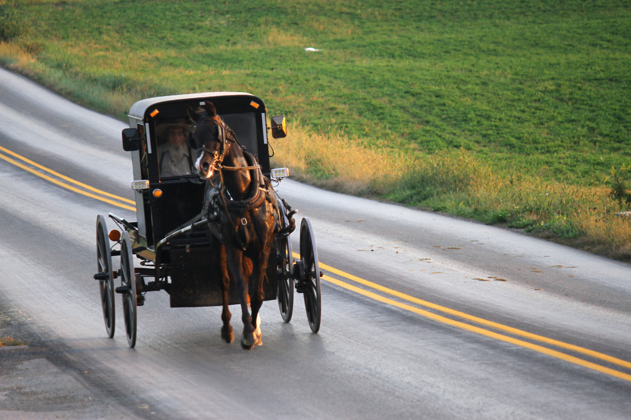 Canon EF-S 55-250mm F4-5.6 IS II sample photo. Amish photography