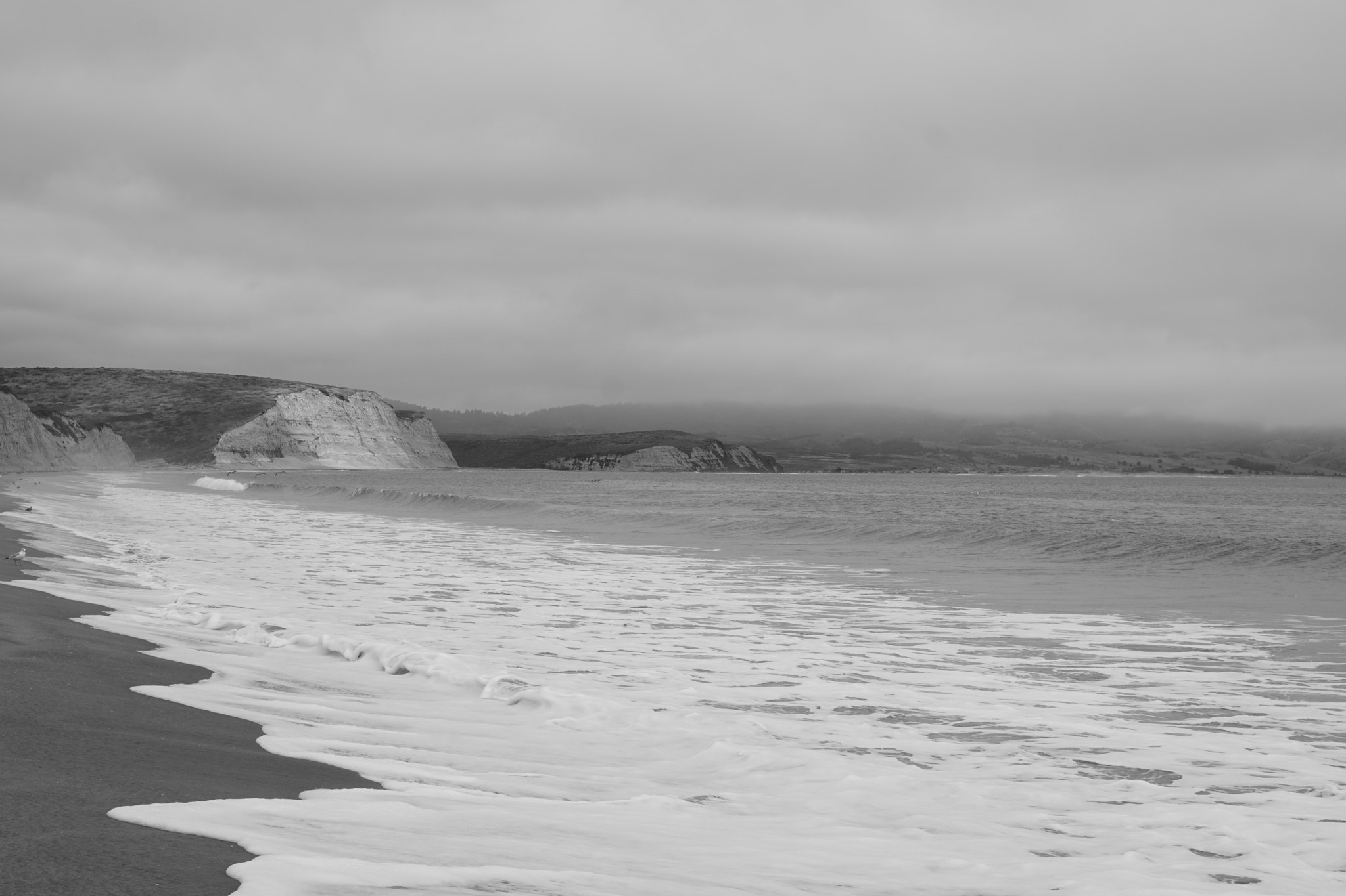 Sony a6000 + Sony Vario-Tessar T* E 16-70mm F4 ZA OSS sample photo. Drake's beach photography