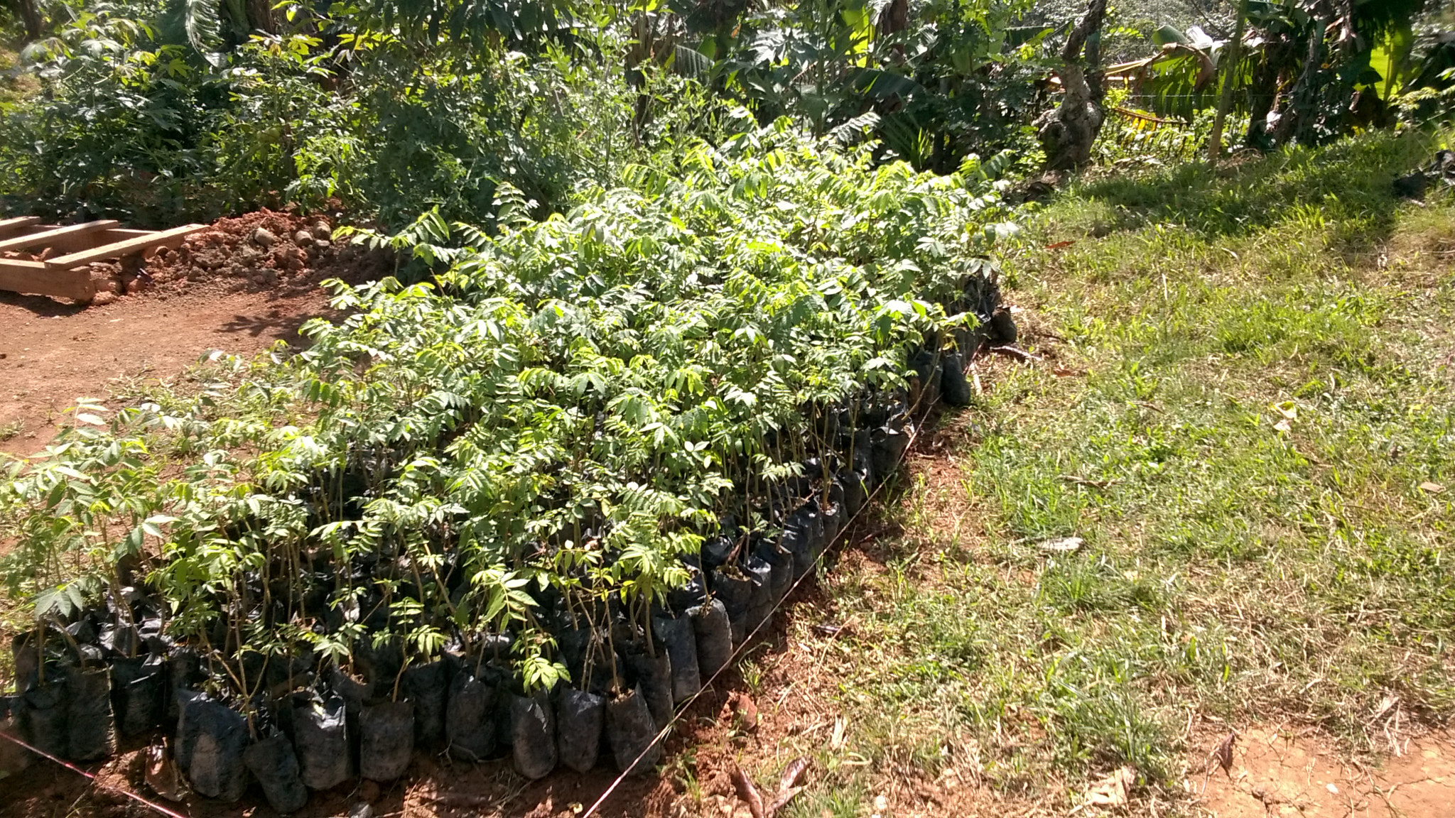 Nokia Lumia 735 sample photo. Pro photography