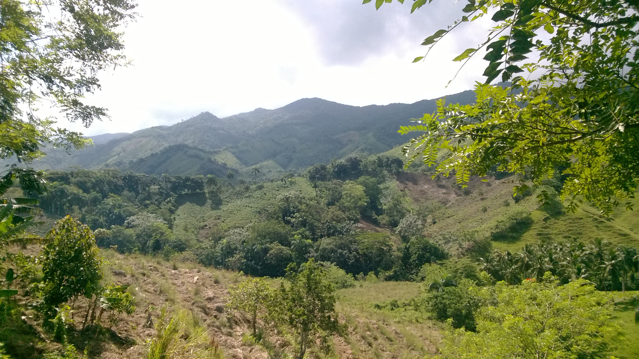 Nokia Lumia 735 sample photo. Pro photography