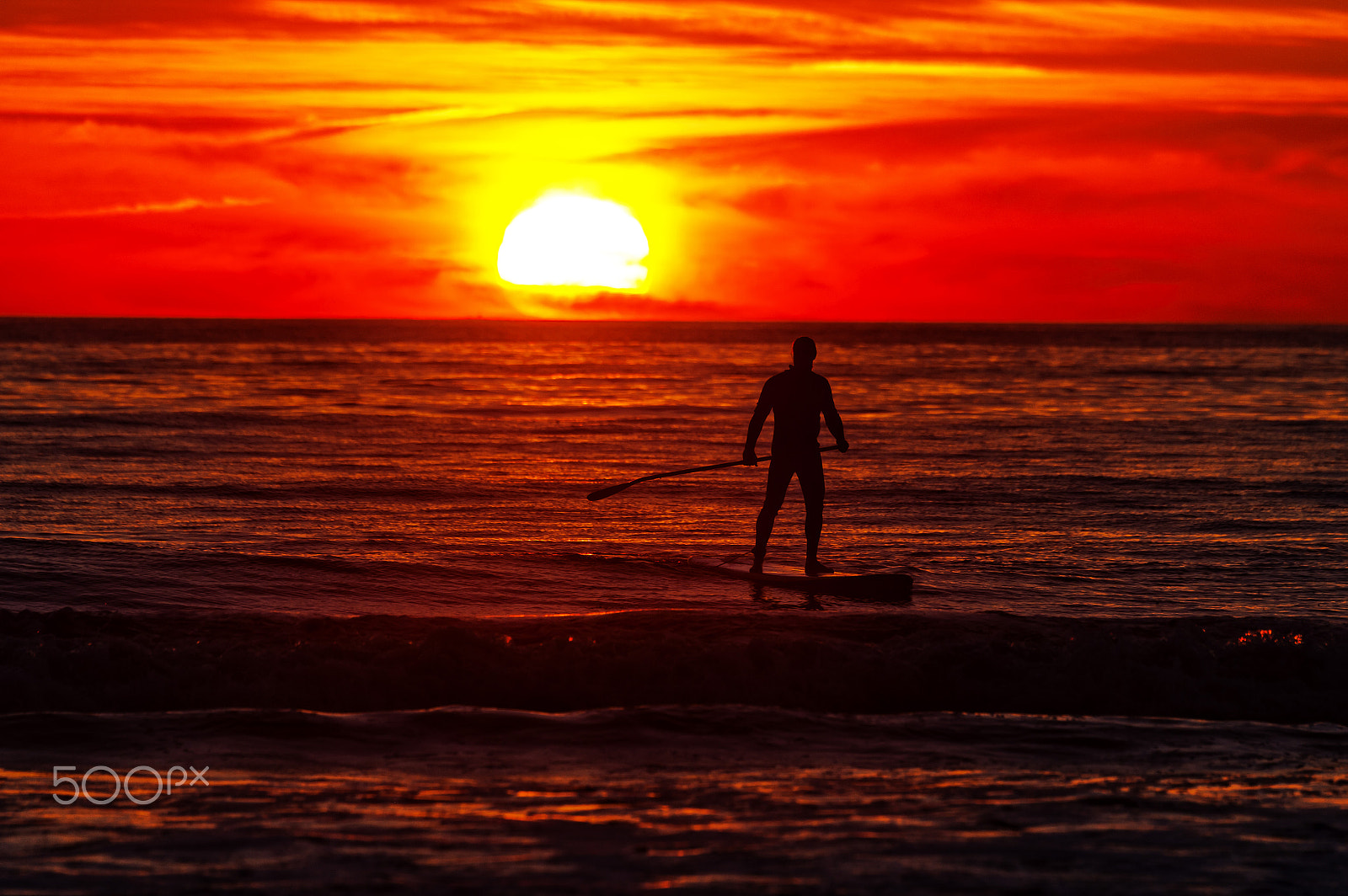 Nikon D700 sample photo. Stand up paddle boarder at sunset photography