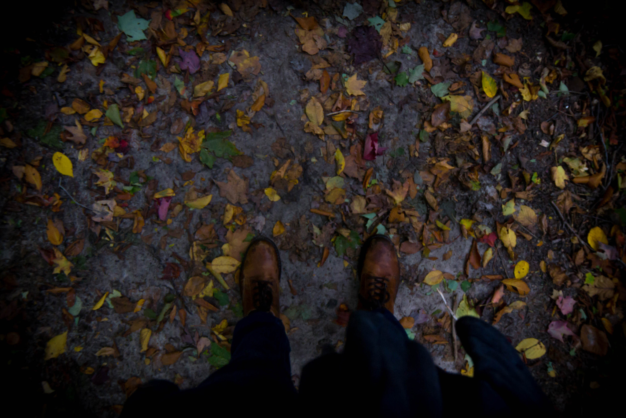Samyang 14mm F2.8 ED AS IF UMC sample photo