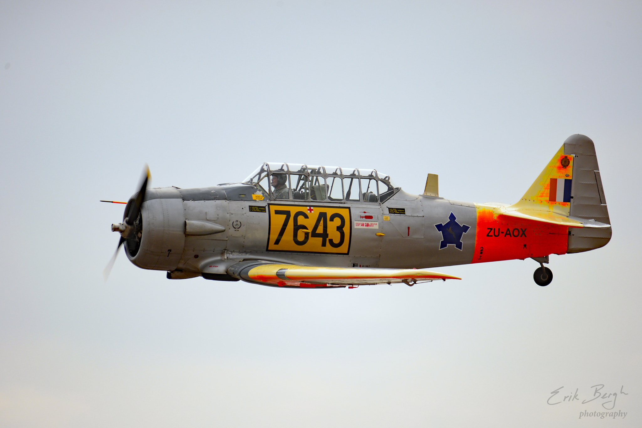 Sigma 150-500mm F5-6.3 DG OS HSM sample photo. Thundering harvard photography