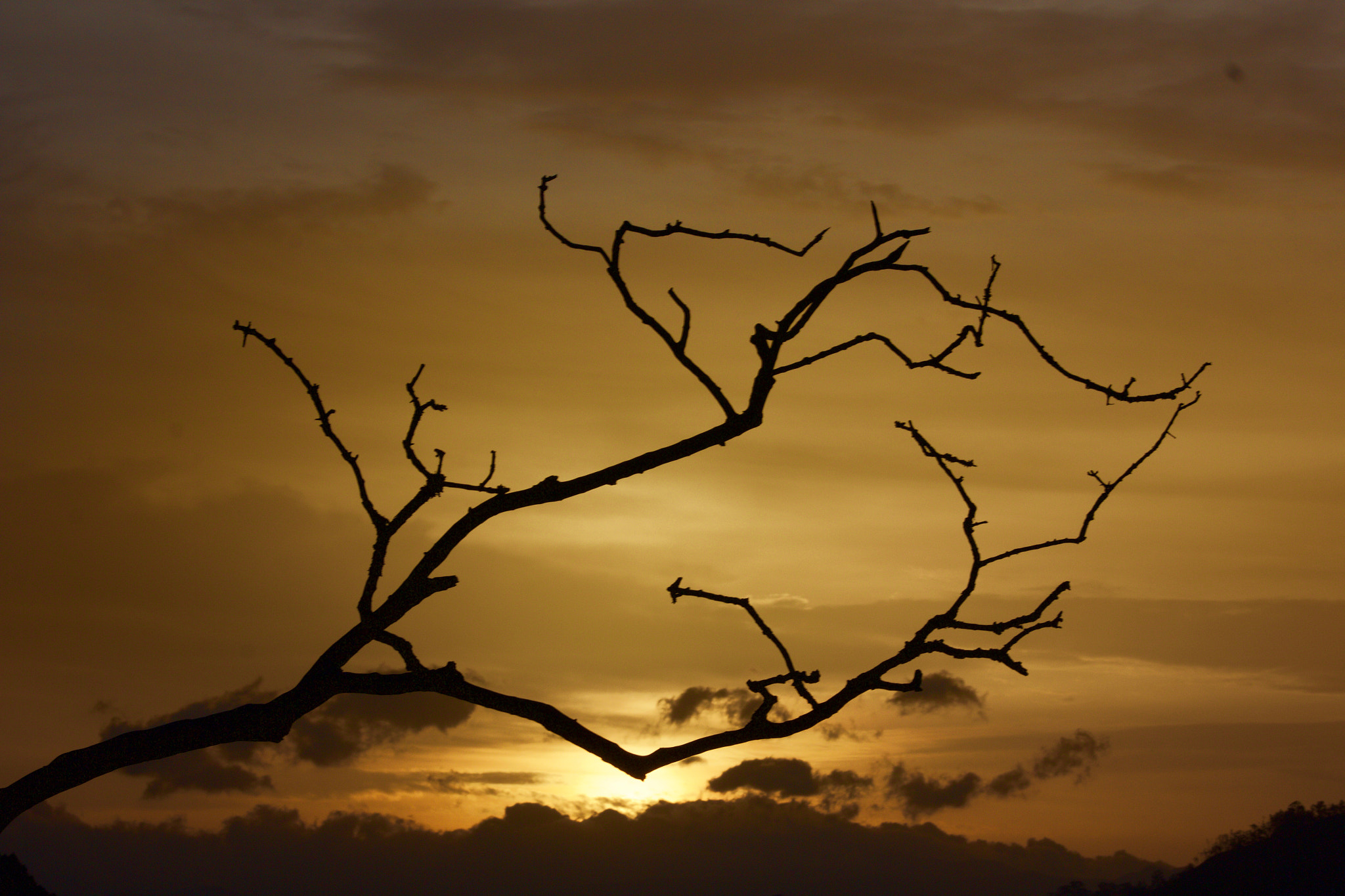 Canon EF 75-300mm f/4-5.6 USM sample photo. Sunset in sri lankan mountains photography