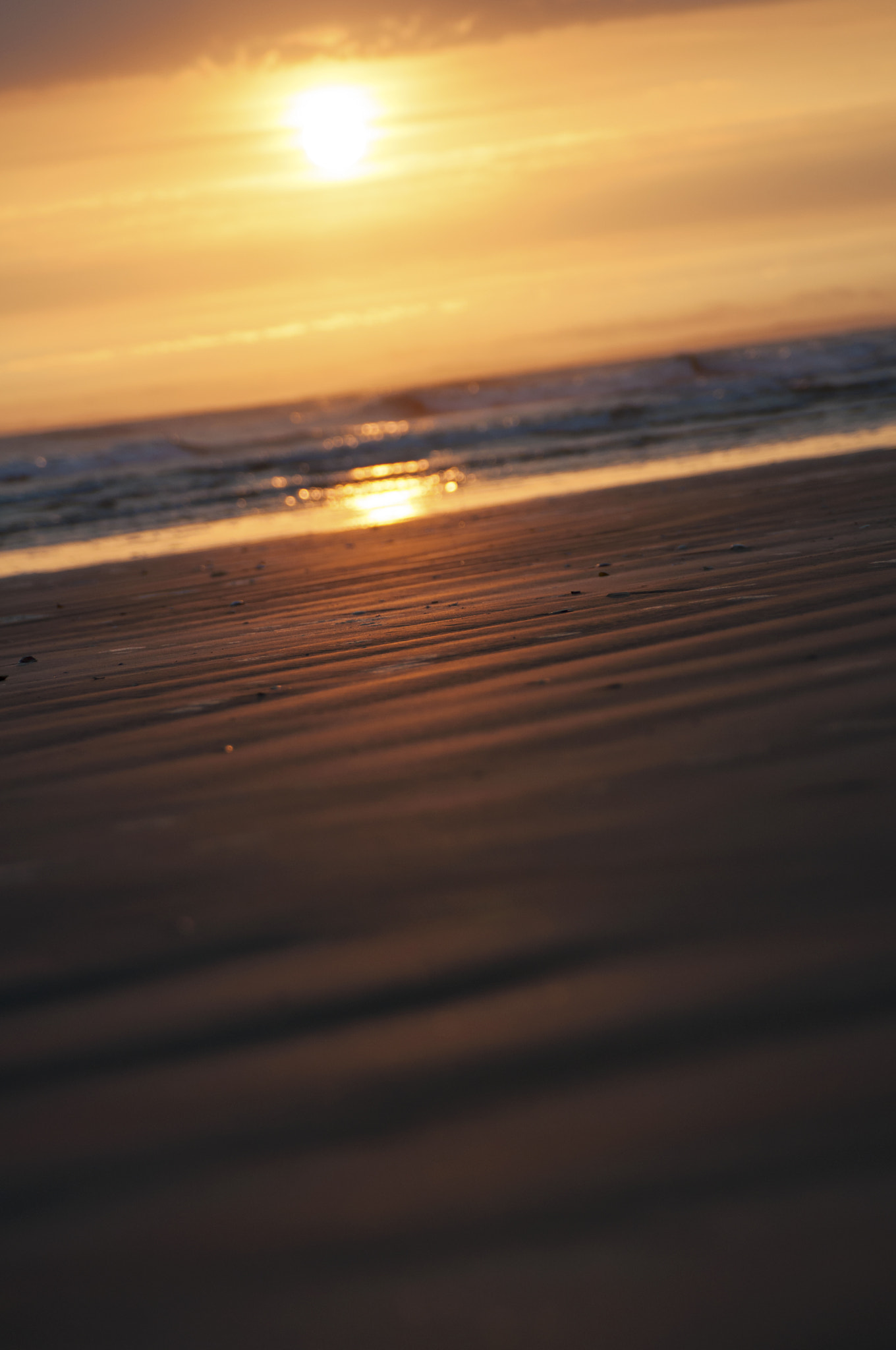 AF Zoom-Nikkor 28-105mm f/3.5-4.5D IF sample photo. Sand ripples photography