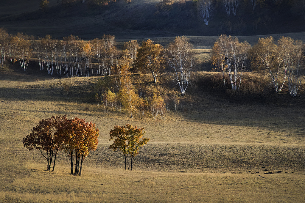 Canon EF 70-300mm F4-5.6L IS USM sample photo. Autumn photography