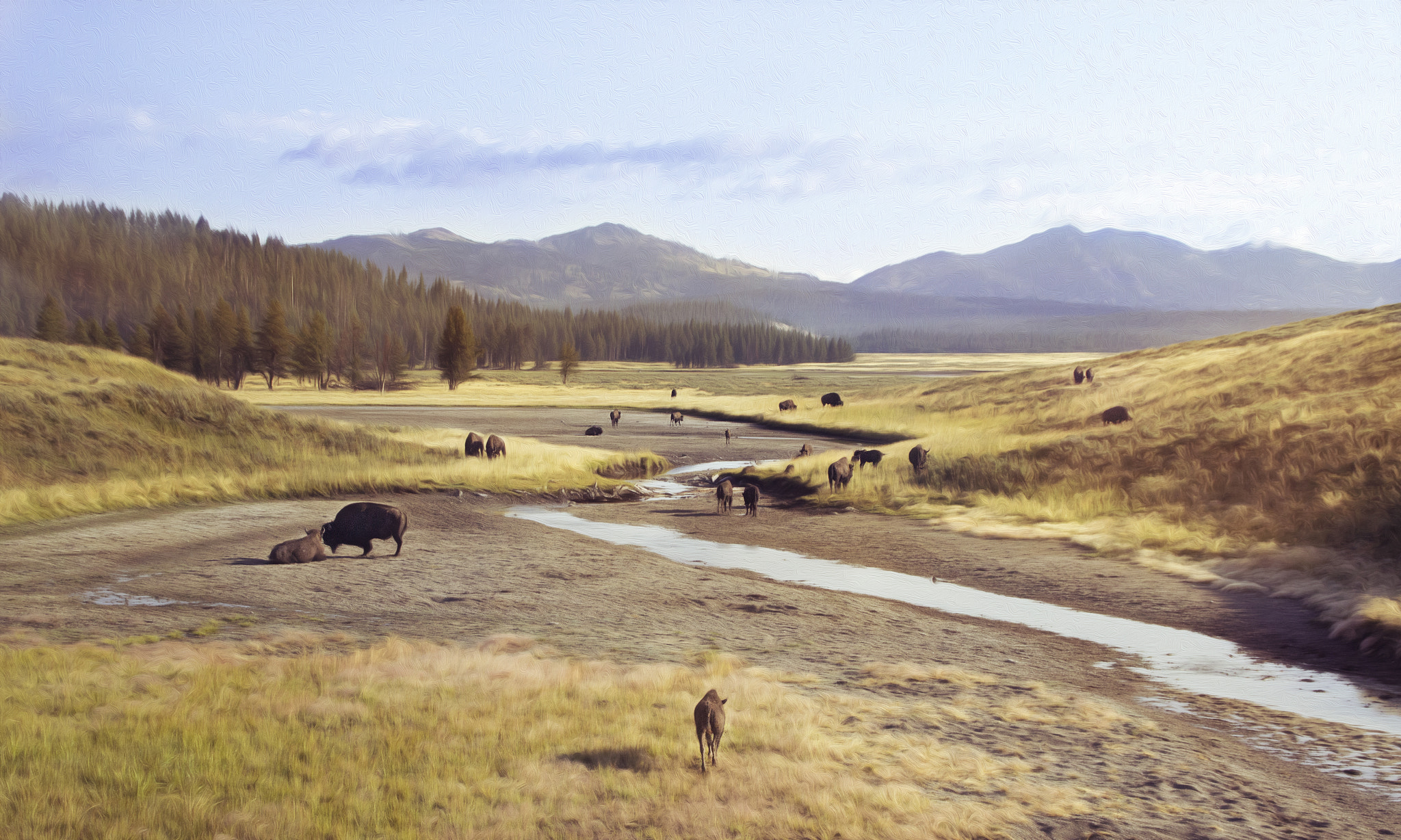 Canon EOS 600D (Rebel EOS T3i / EOS Kiss X5) sample photo. Where the buffalo roam photography