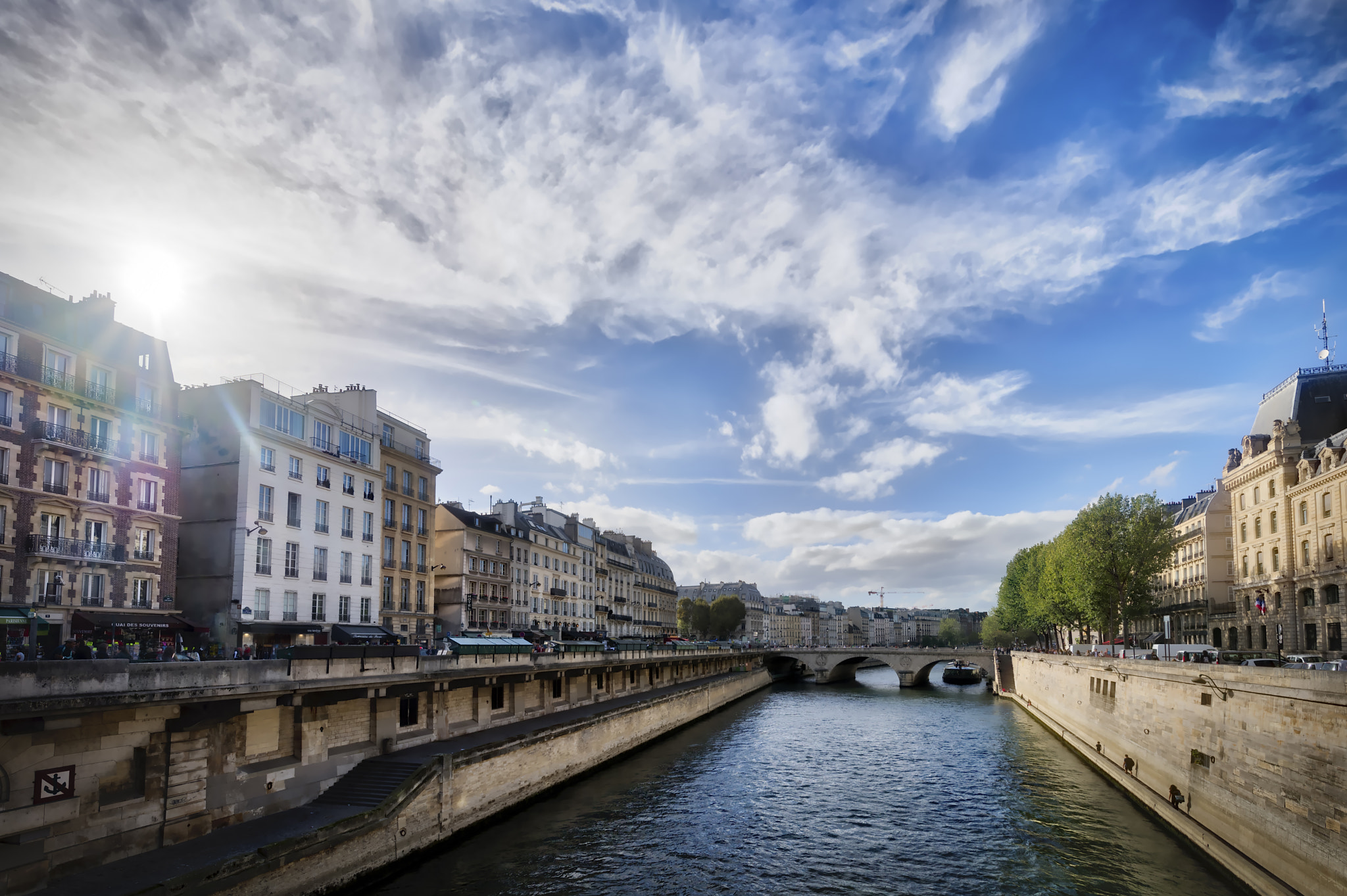 Nikon D5 + Tamron SP 15-30mm F2.8 Di VC USD sample photo. Summer on the seine photography