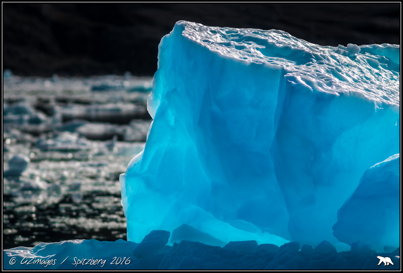 Canon EF 300mm F4L IS USM sample photo. Ice diamond photography