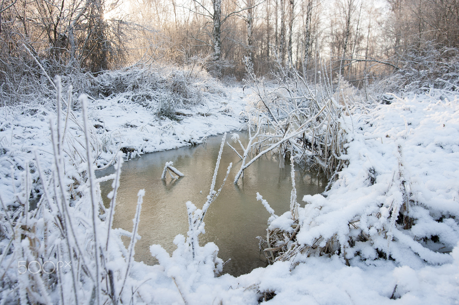 Pentax K20D sample photo. Winter photography