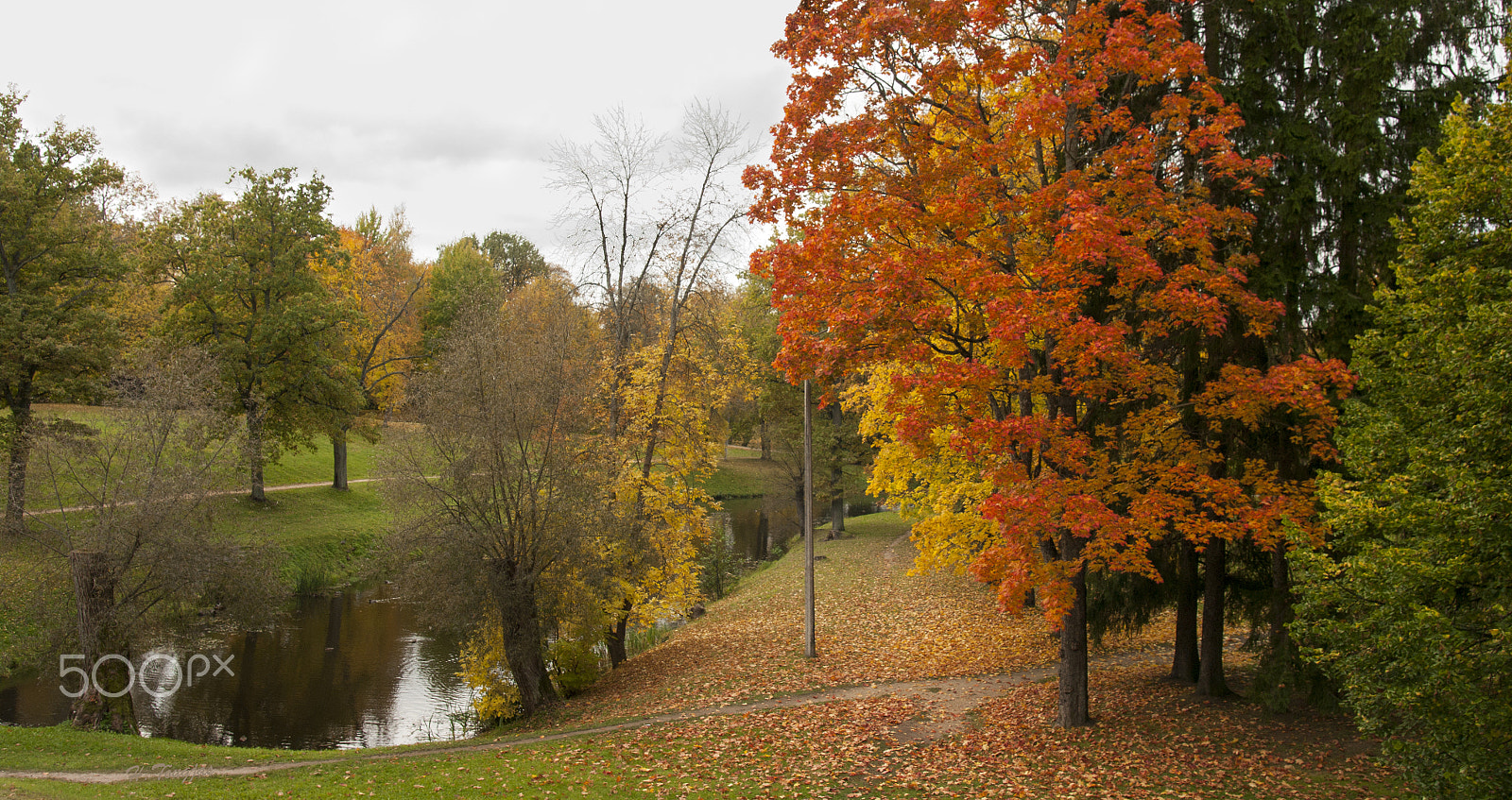 Pentax K20D sample photo. Autumn photography