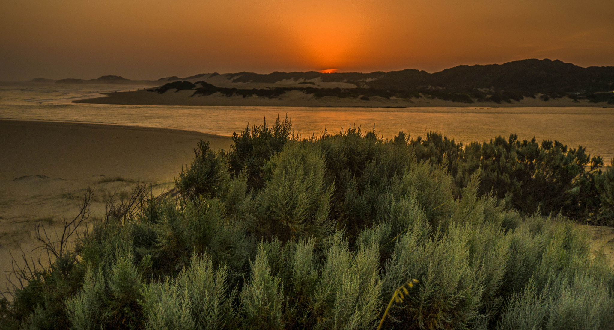 Sony SLT-A99V sample photo. Sunset kenton photography