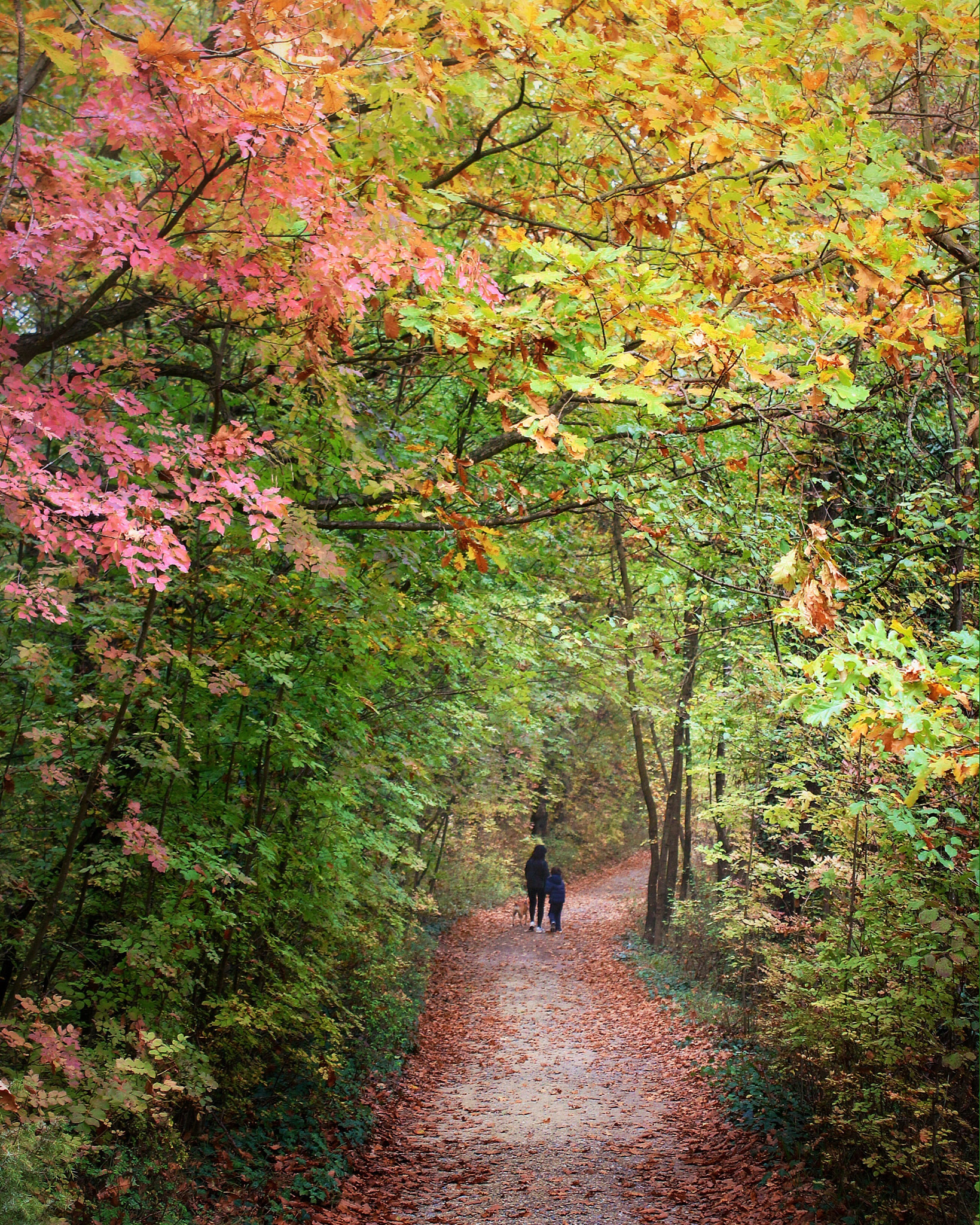 Canon EF-S 18-55mm F3.5-5.6 IS sample photo. Al parco photography