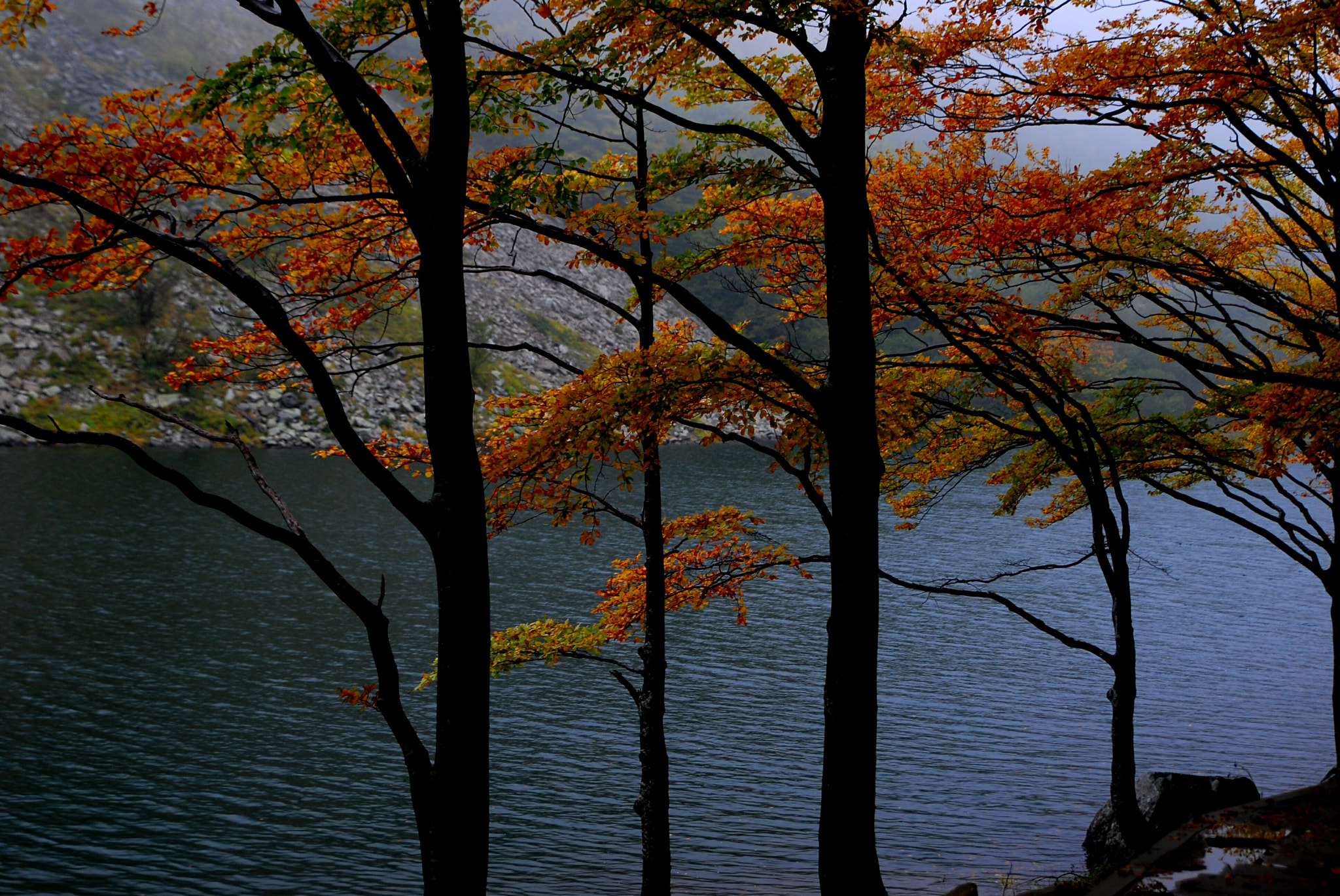 Nikon D200 sample photo. The nature photography