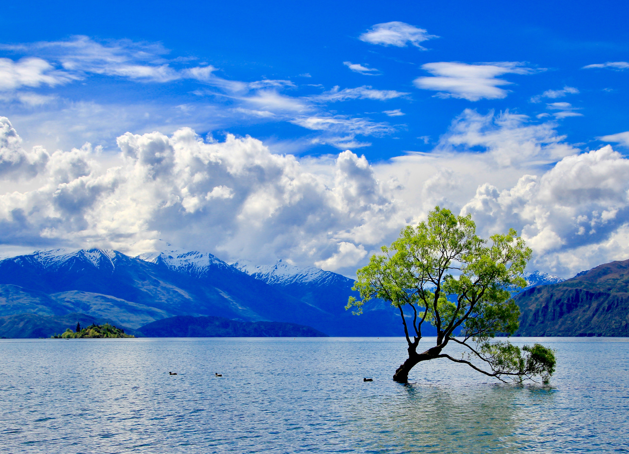 Canon EOS 100D (EOS Rebel SL1 / EOS Kiss X7) sample photo. Wanaka lake photography
