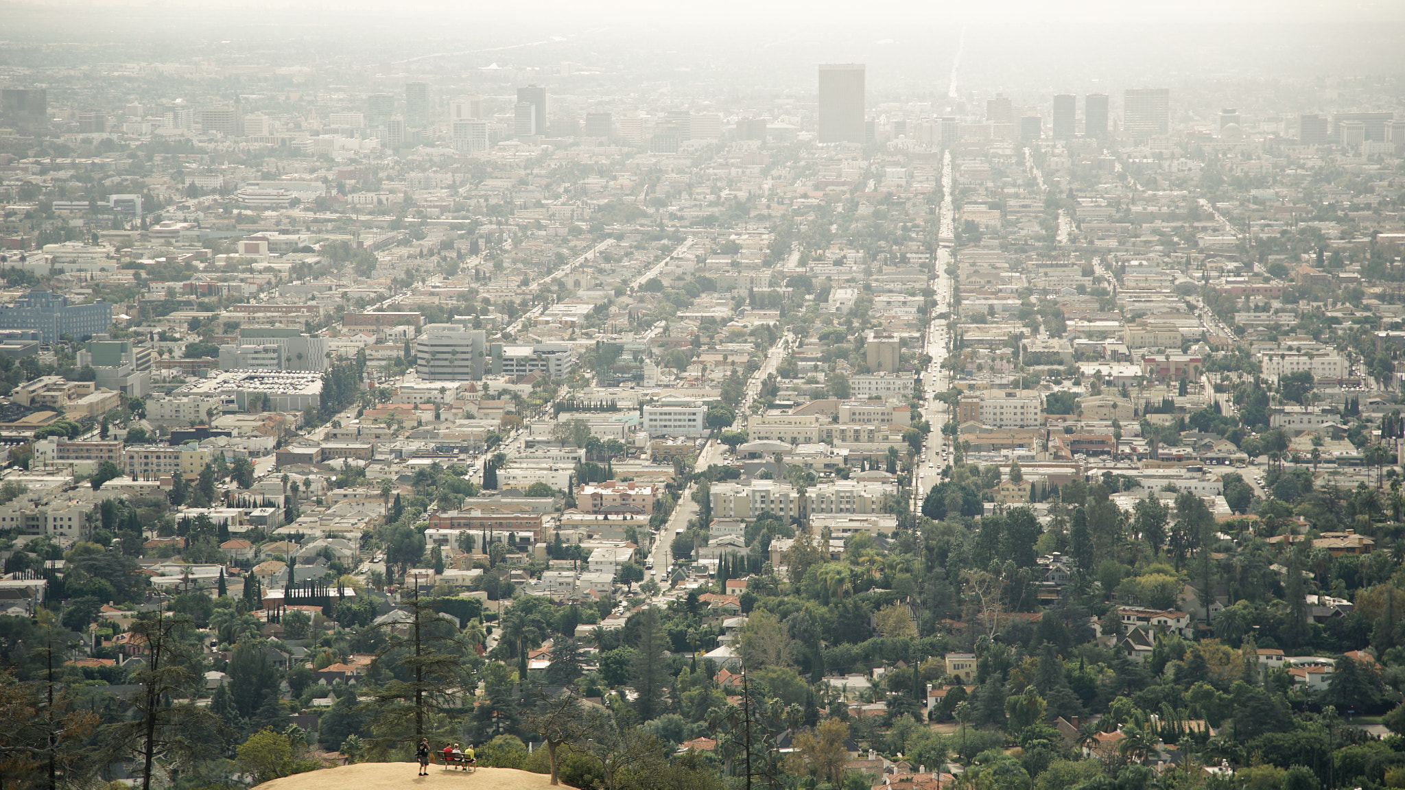 Sony a7S II + 24-105mm F4 G SSM OSS sample photo. La lookout photography