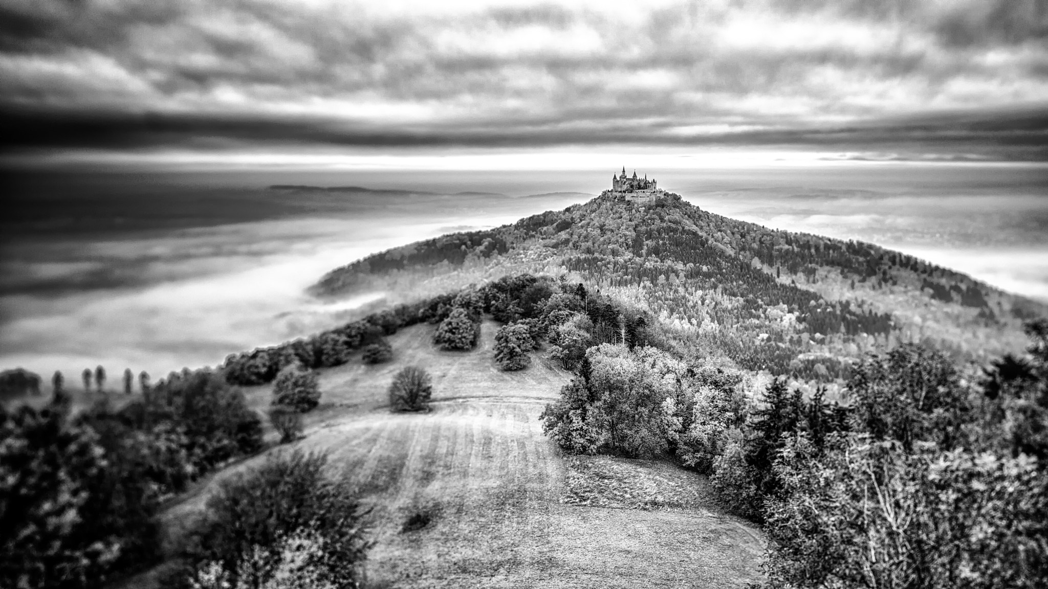 Canon TS-E 24.0mm f/3.5 L II sample photo. The overlook photography
