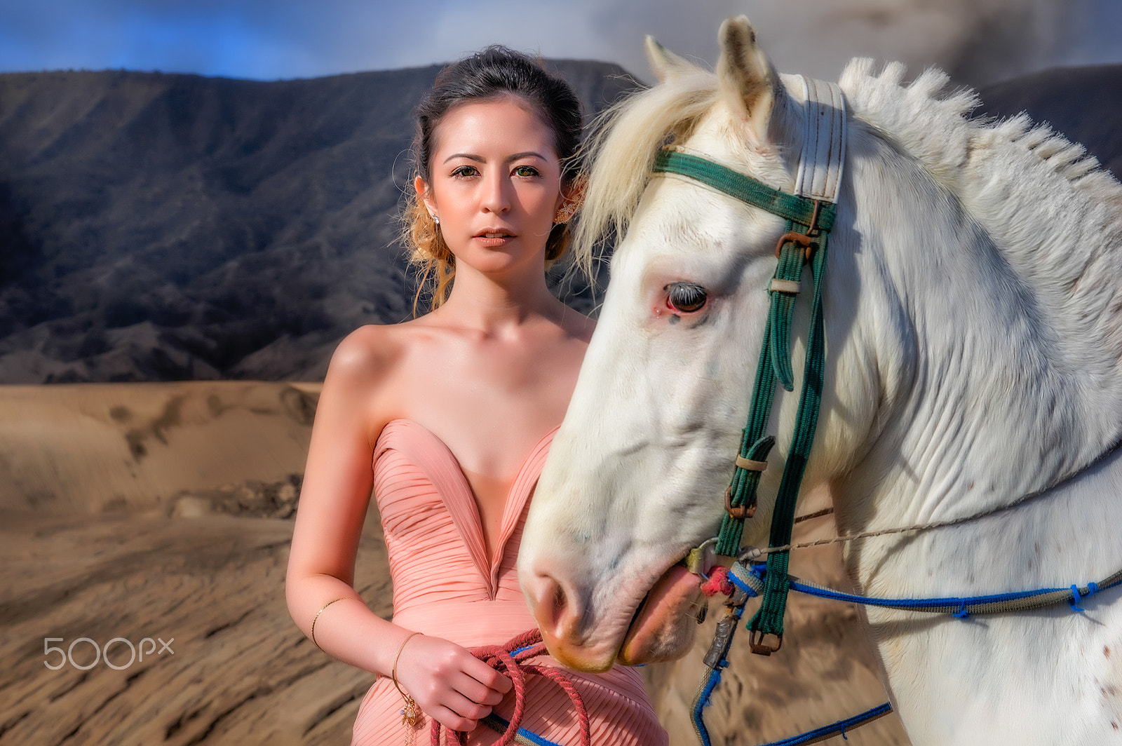 Sigma 17-70mm F2.8-4 DC Macro HSM | C sample photo. Naomi lee photography