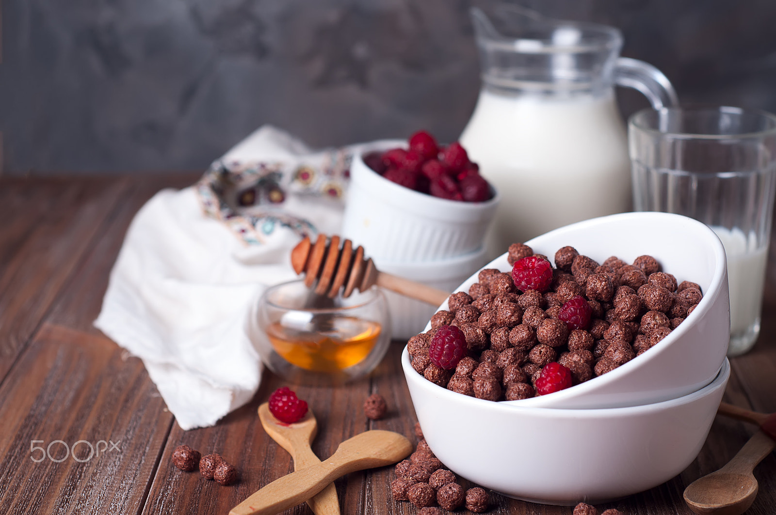 Nikon D90 sample photo. Chocolate cereal rings in bowl photography