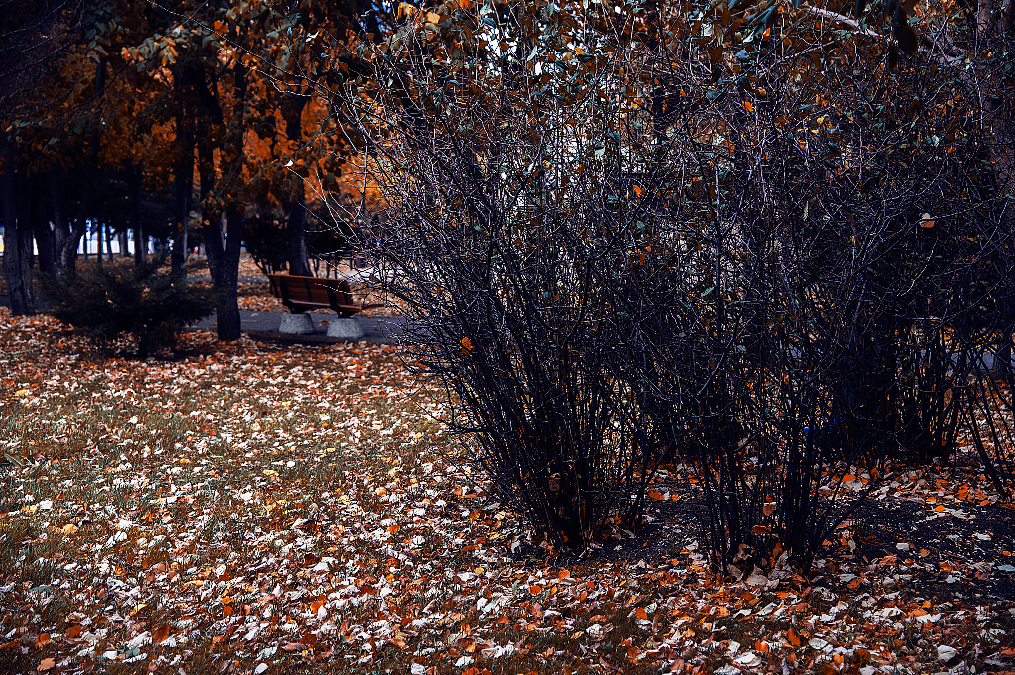 Nikon D4 sample photo. Beylikdüzü photography