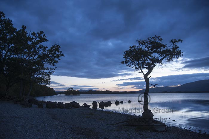 Nikon D700 sample photo. Balanced blue nature view - milarrochy bay - loch lomond - scotl photography