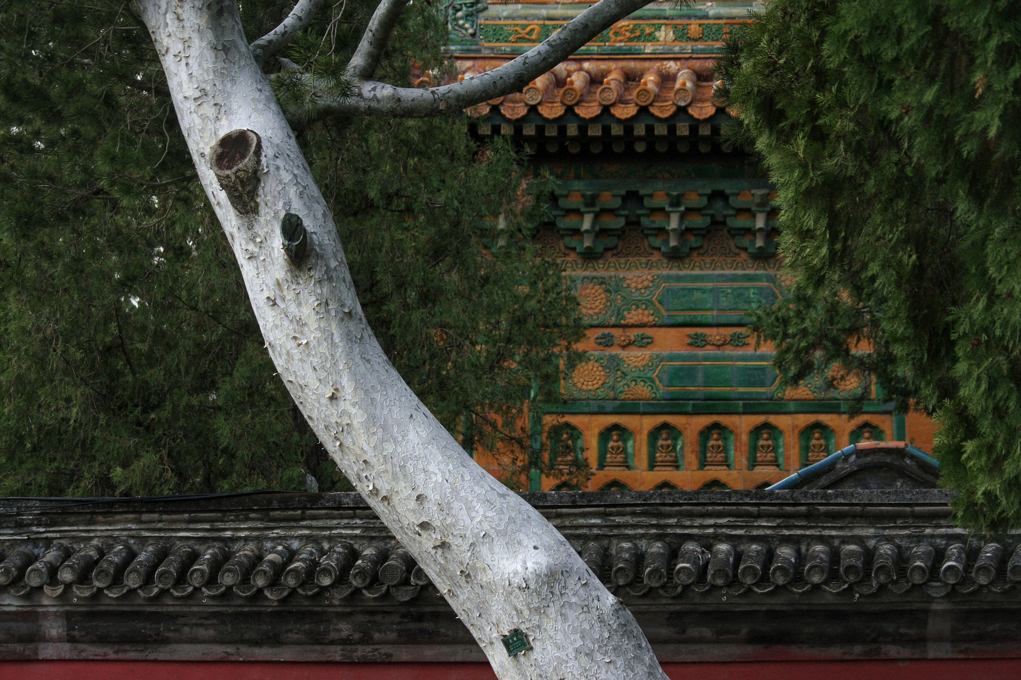 Canon EOS 40D sample photo