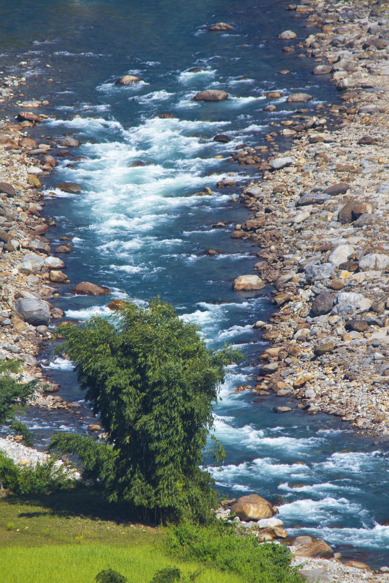 Sigma 150-500mm F5-6.3 DG OS HSM sample photo. Bliss photography