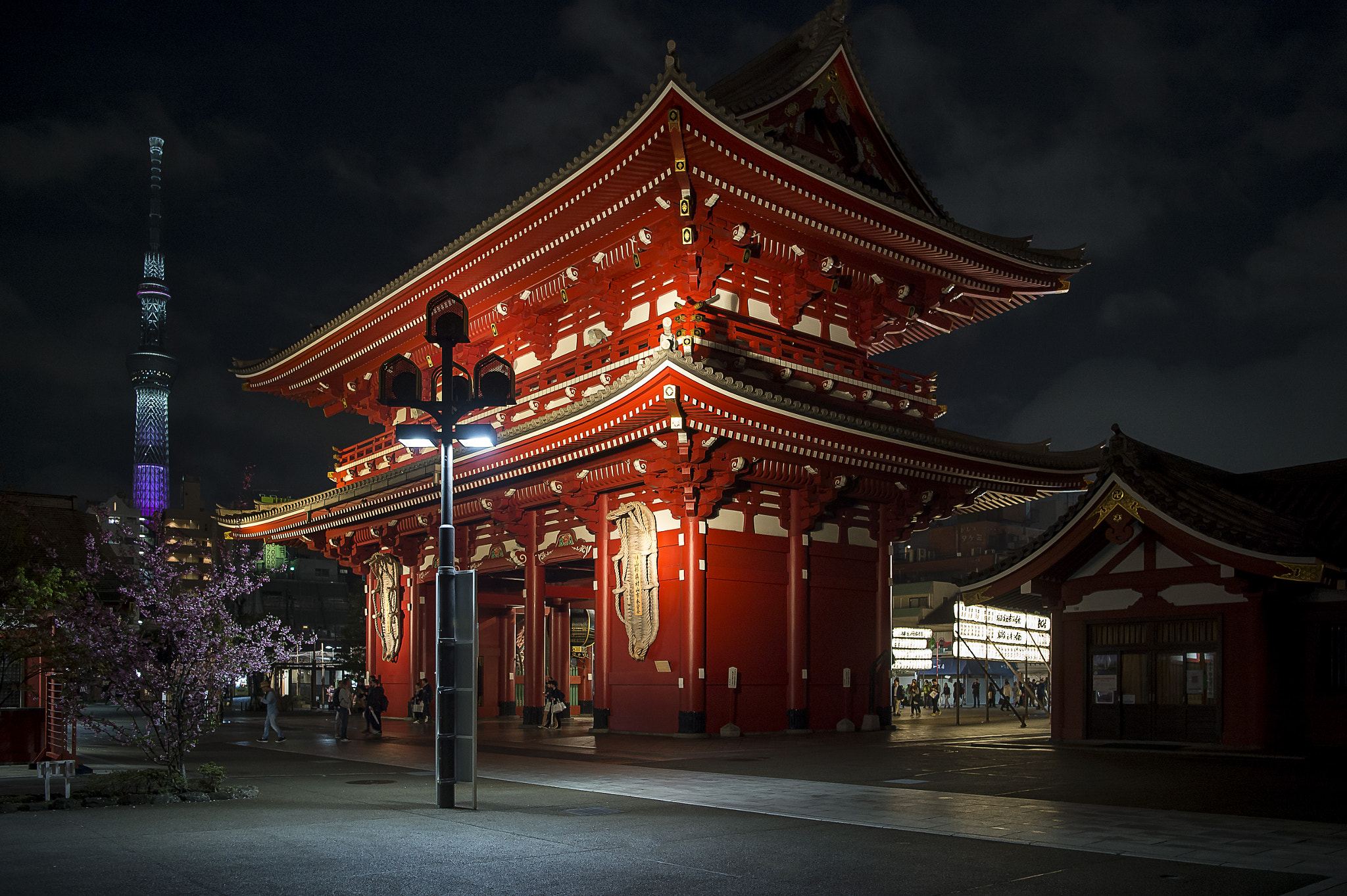 Nikon AF-S Nikkor 24-70mm F2.8E ED VR sample photo. Senso-ji doorway photography