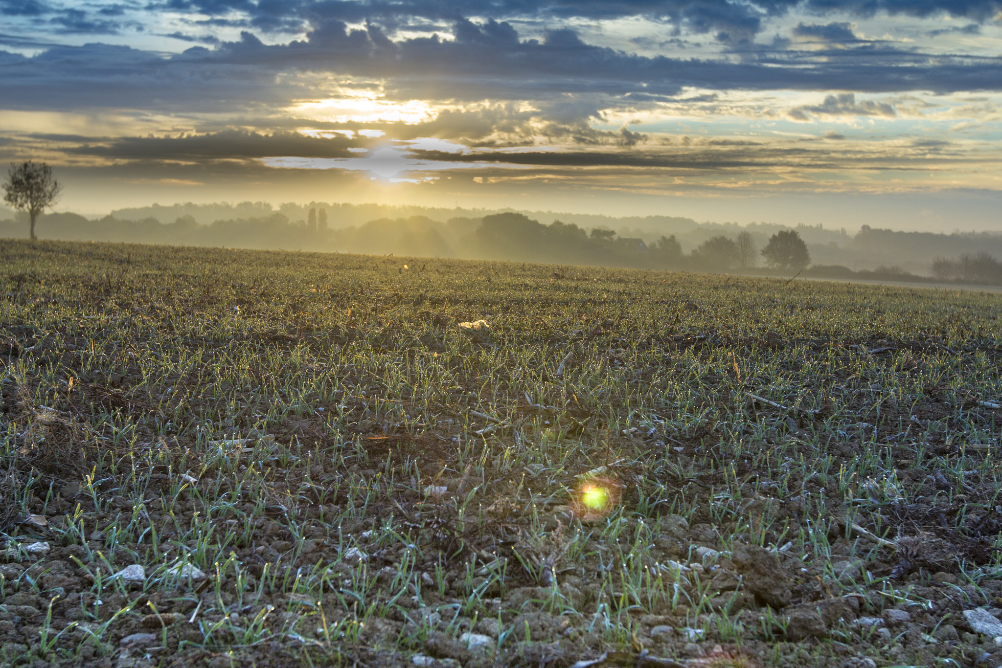 Canon EF 16-35mm F2.8L II USM sample photo. Le matin photography