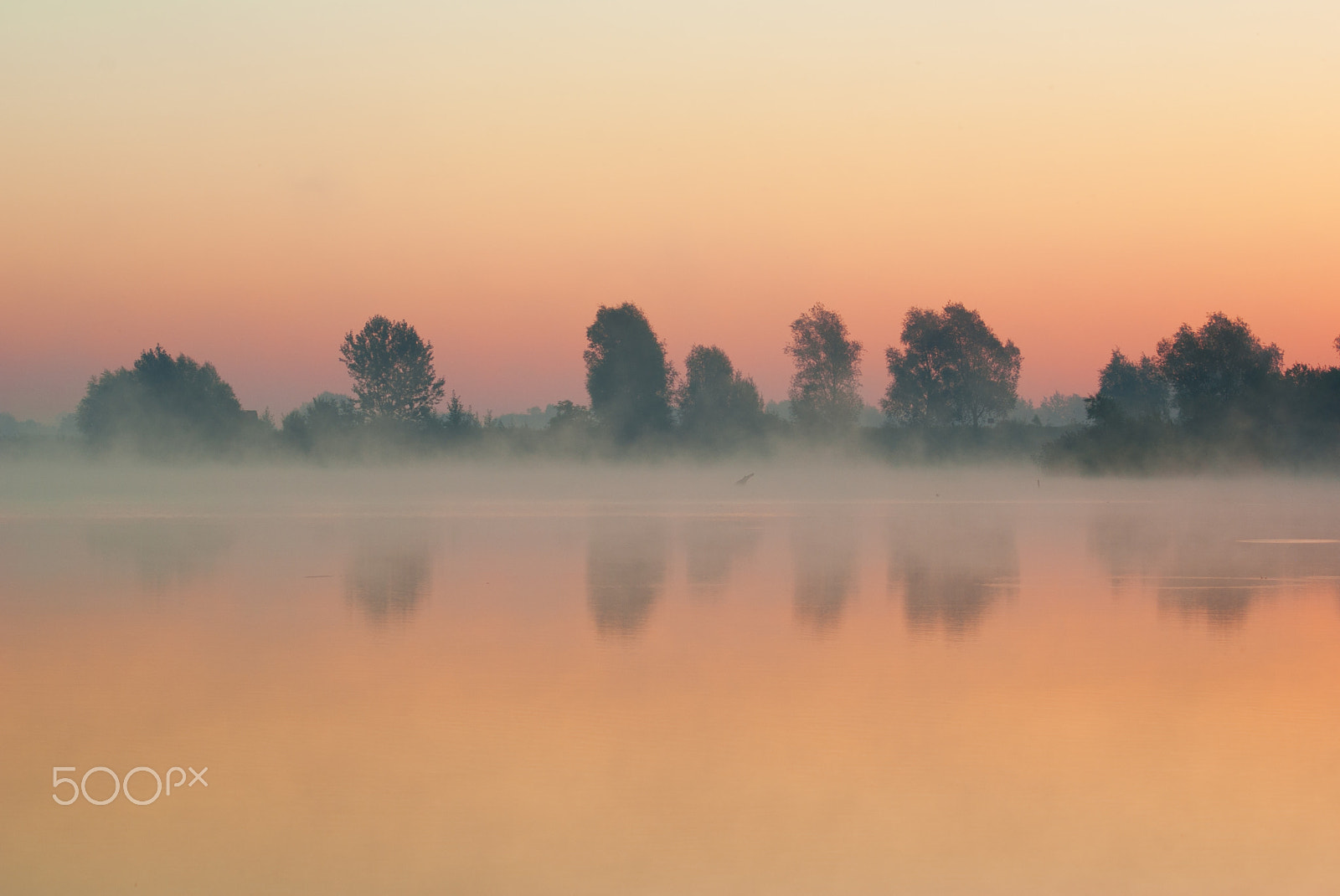 smc PENTAX-F 70-210mm F4-5.6 sample photo. Beautiful morning photography