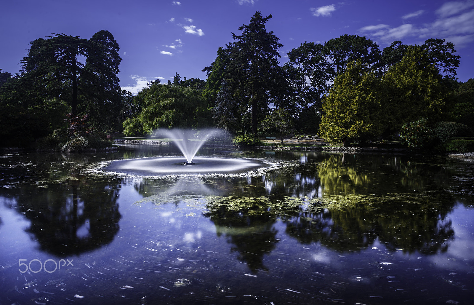 Canon EOS 6D + Canon EF 20mm F2.8 USM sample photo. Beautiful victoria. bc. photography