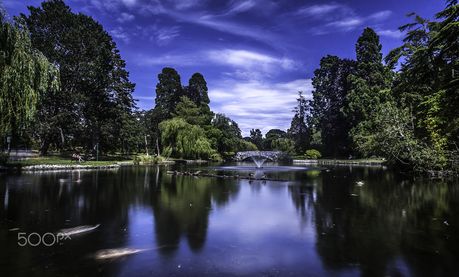Canon EOS 6D + Canon EF 20mm F2.8 USM sample photo. Beautiful victoria. bc. photography