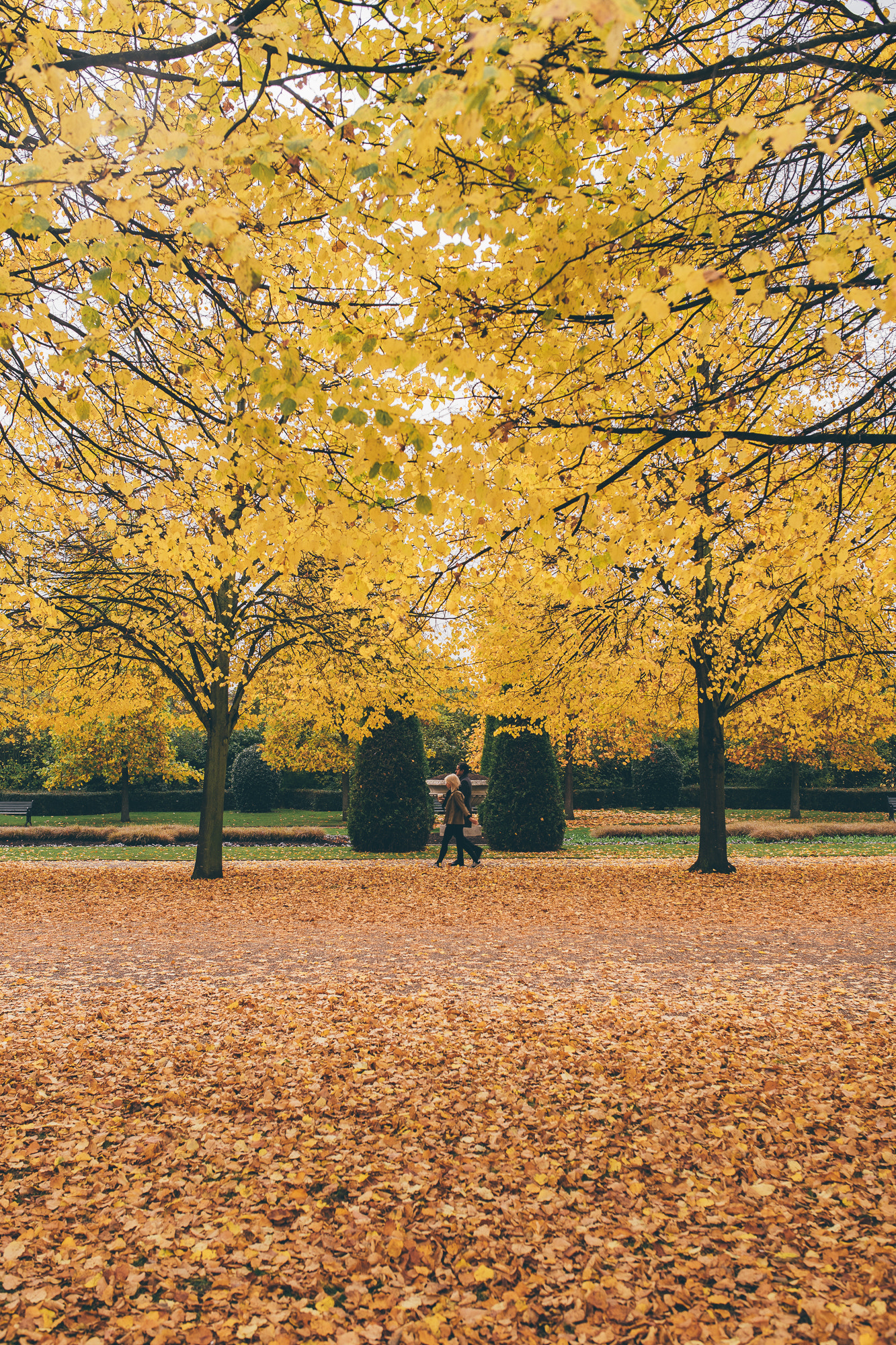 Sony a7 + Sigma 35mm F1.4 DG HSM Art sample photo. Regent's park photography