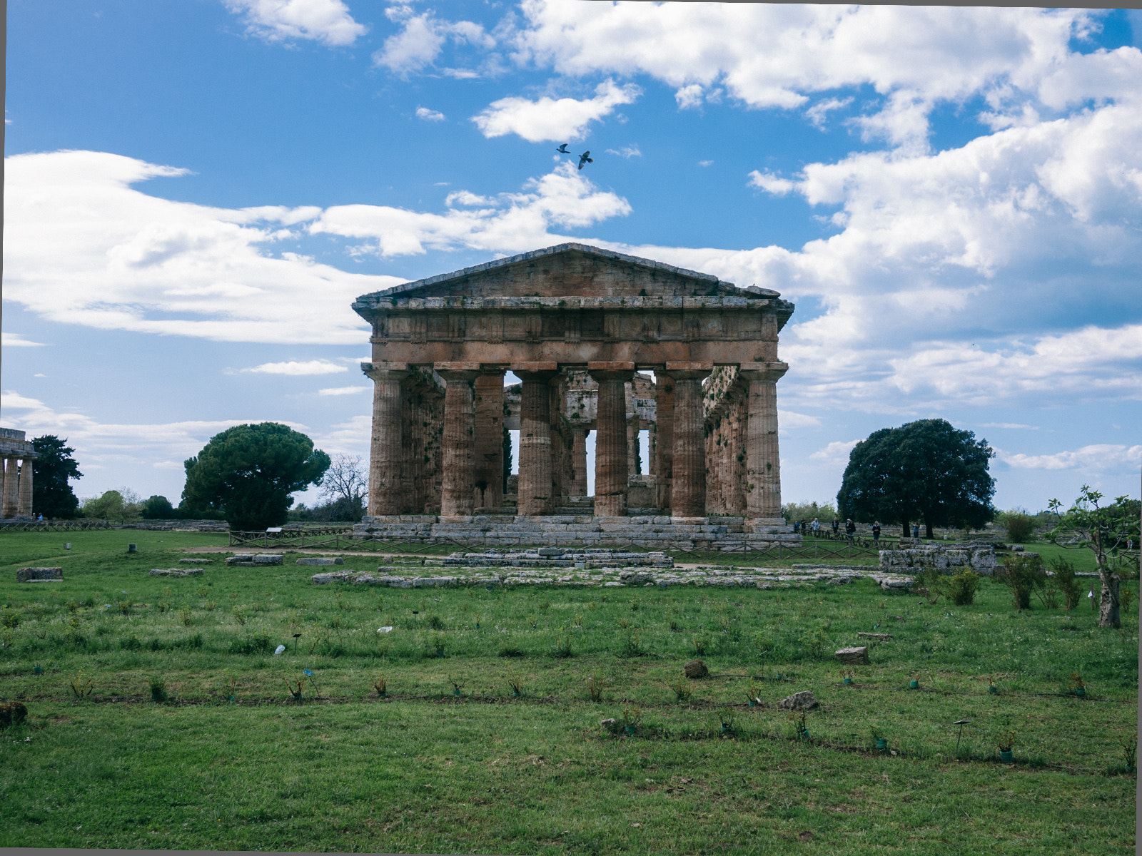 Panasonic Lumix DMC-GF1 sample photo. Paestum photography