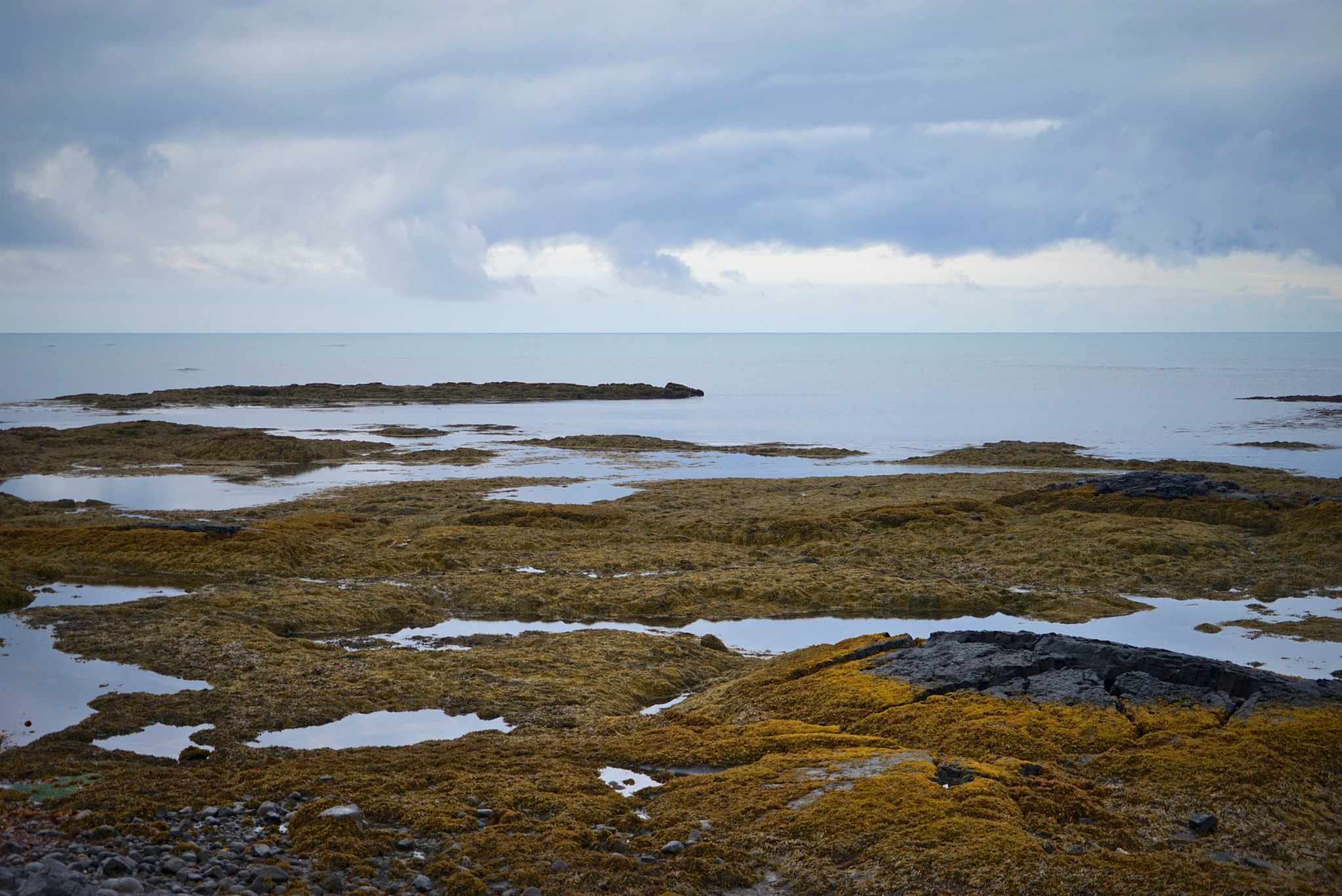 Sony FE 24-240mm F3.5-6.3 OSS sample photo. Icelands ring road part one photography