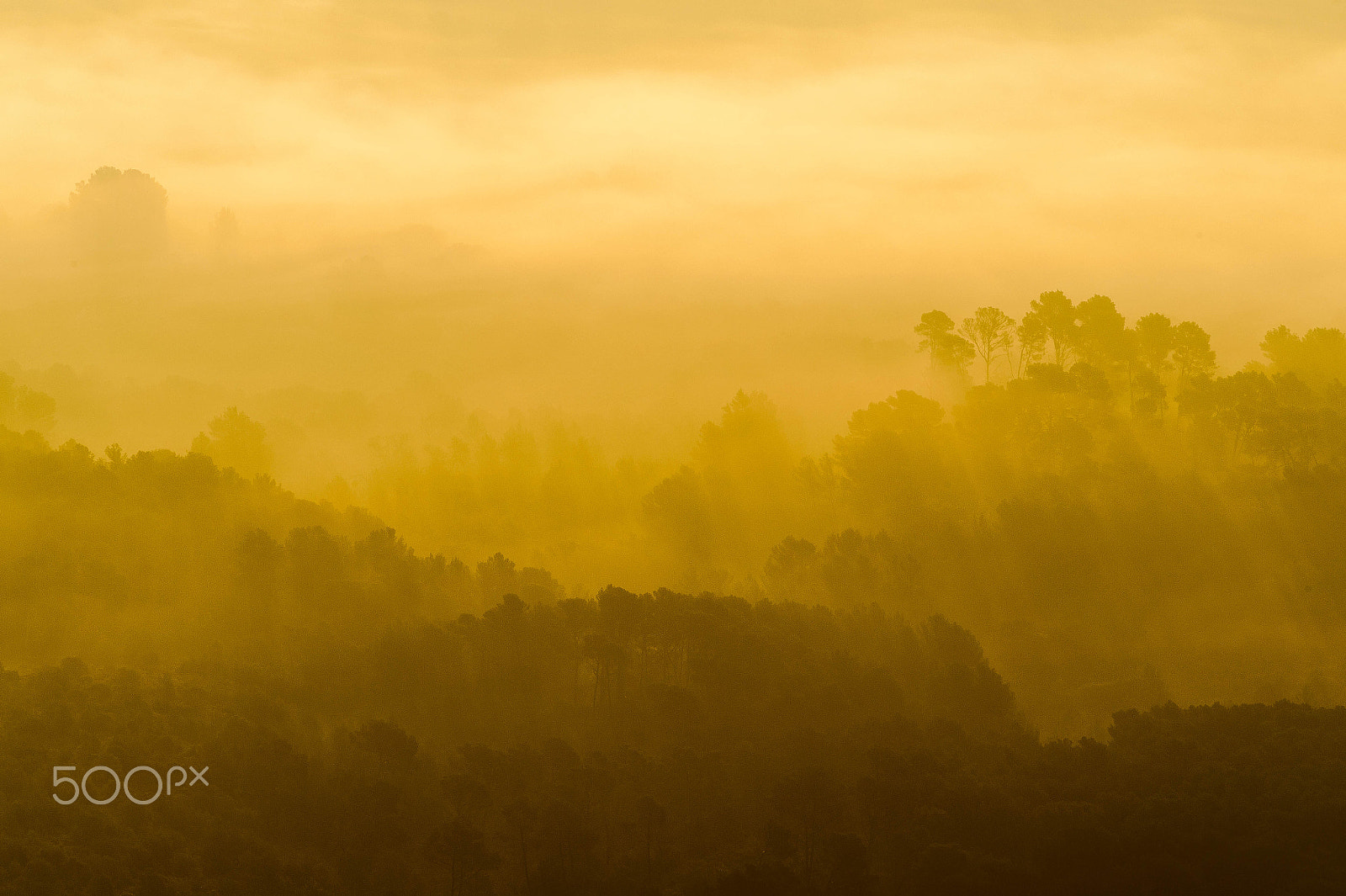 Nikon D4 sample photo. Golden light at puig de randa photography