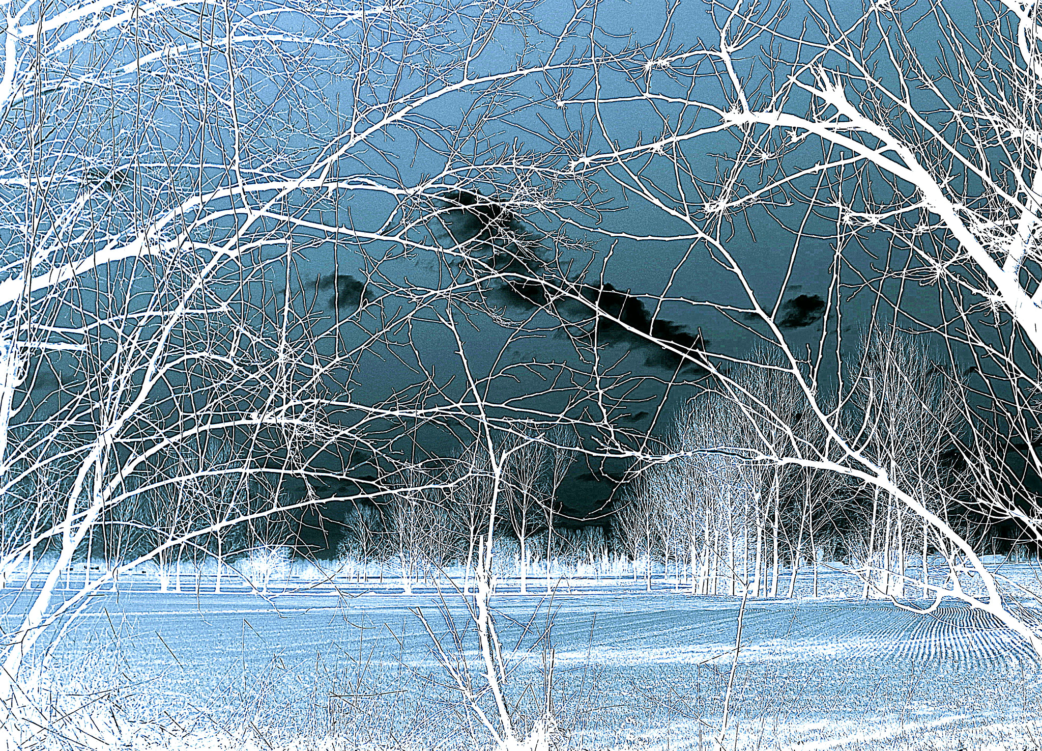 Fujifilm FinePix JX250 sample photo. Paesaggio invernale nei campi a fiesse. photography