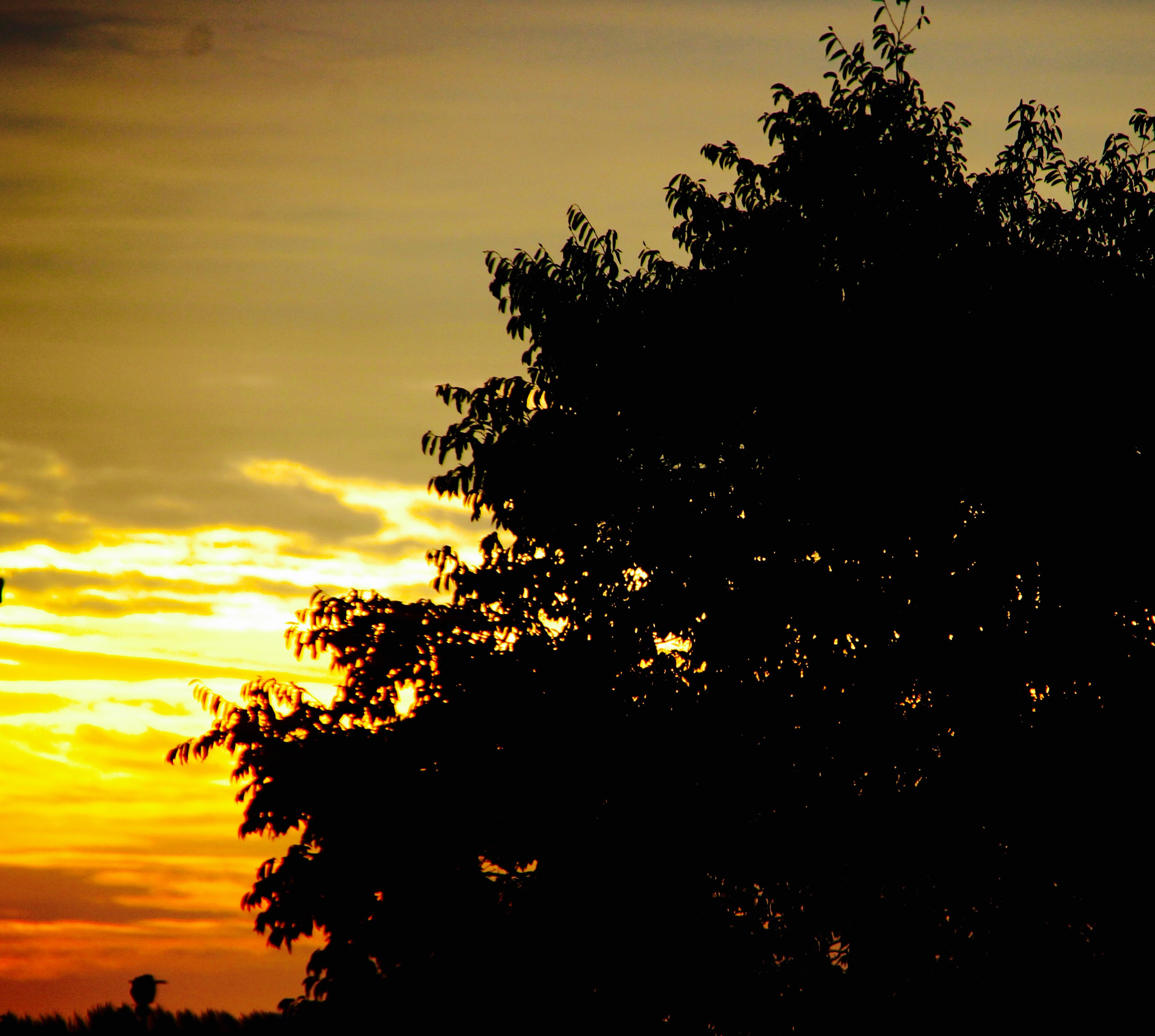 Canon 18-250mm sample photo