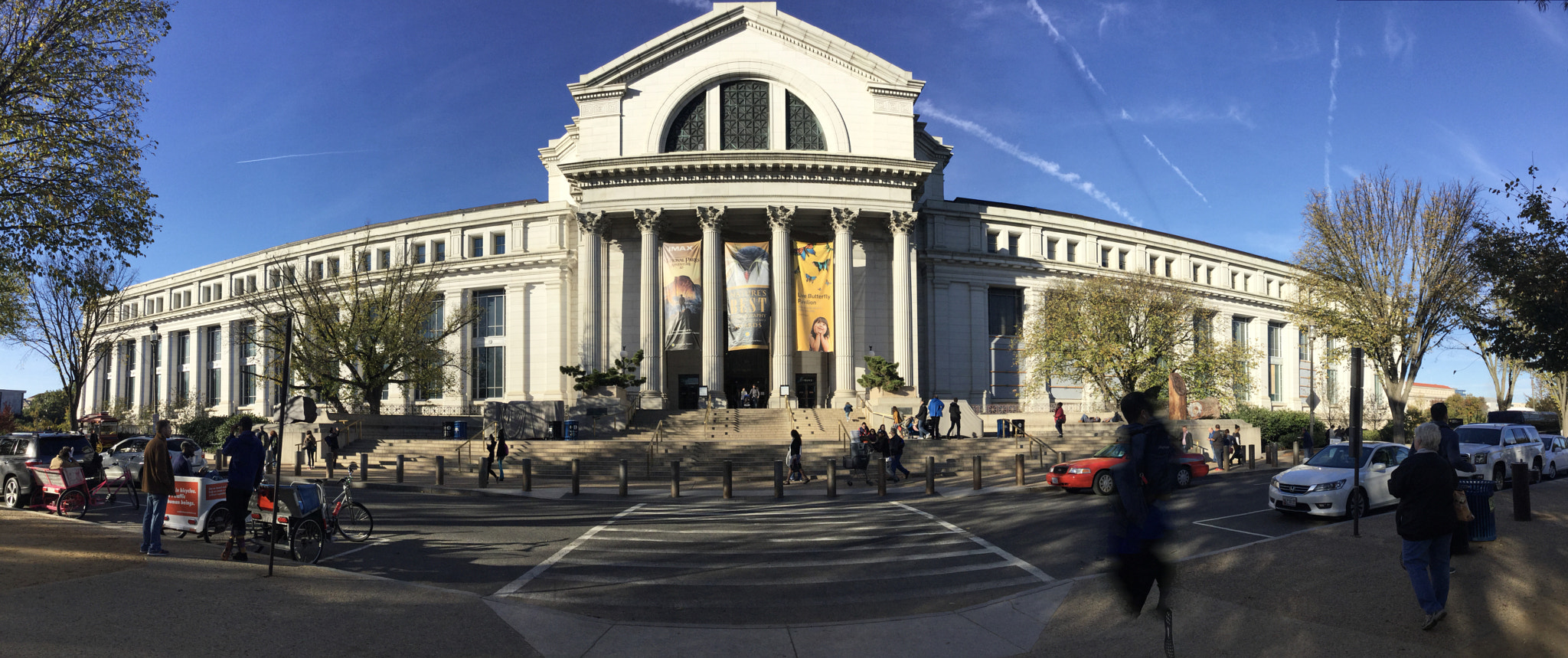iPad Air 2 back camera 3.3mm f/2.4 sample photo. The nature history museum photography
