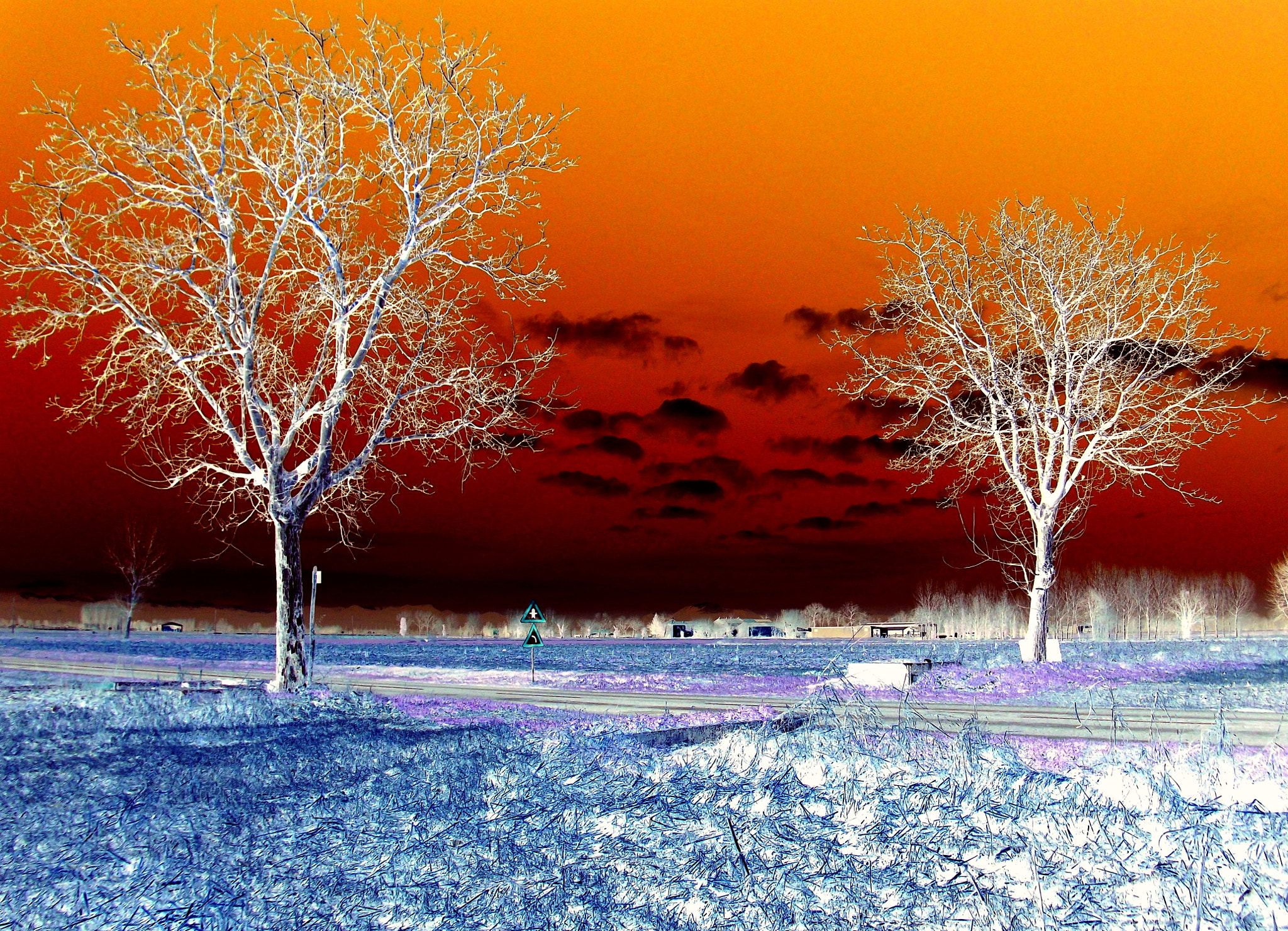 Fujifilm FinePix JX250 sample photo. Da gian, paesaggio invernale al tramonto, meravigliosa natura. personalizzata! photography