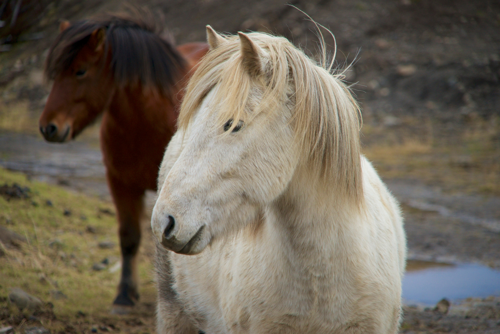 Sony E 55-210mm F4.5-6.3 OSS sample photo. Icelands ring road part two photography