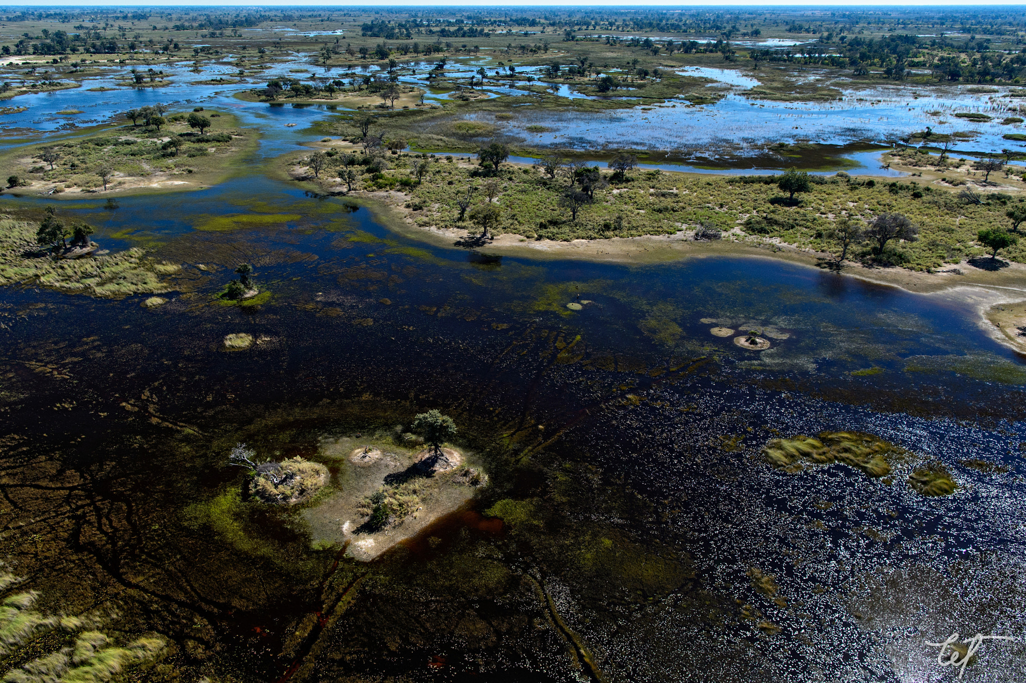 Nikon AF-S Nikkor 24-70mm F2.8E ED VR sample photo. Okavango delta2 photography