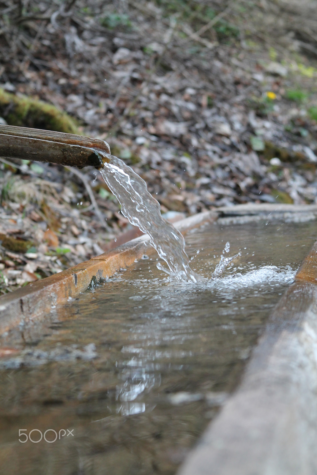 Canon EF 28-135mm F3.5-5.6 IS USM sample photo. Img photography