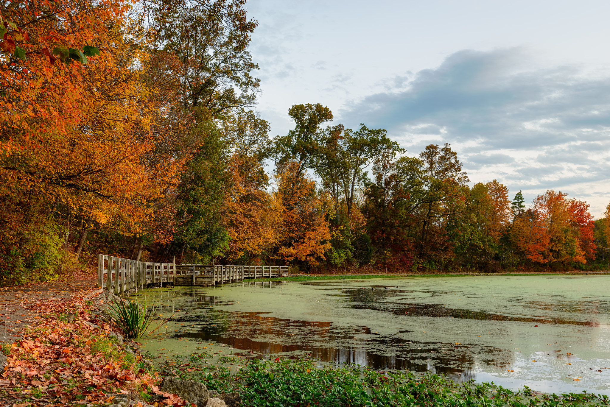 Nikon AF-S Nikkor 18-35mm F3.5-4.5G ED sample photo. Autumn at sharon lake photography